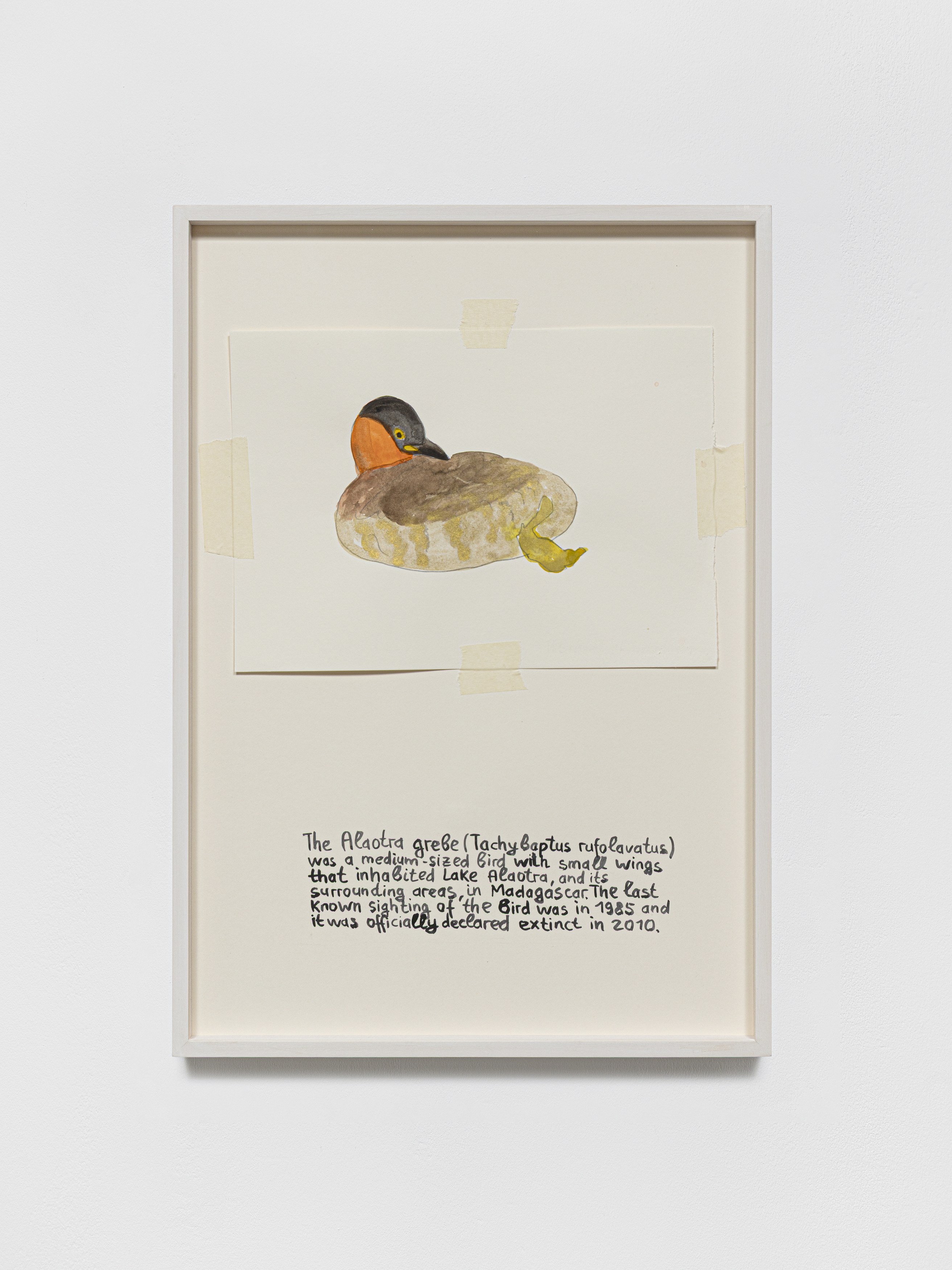 Anna Jermolaewa, You can count on me at Galerie Molitor, photo 49