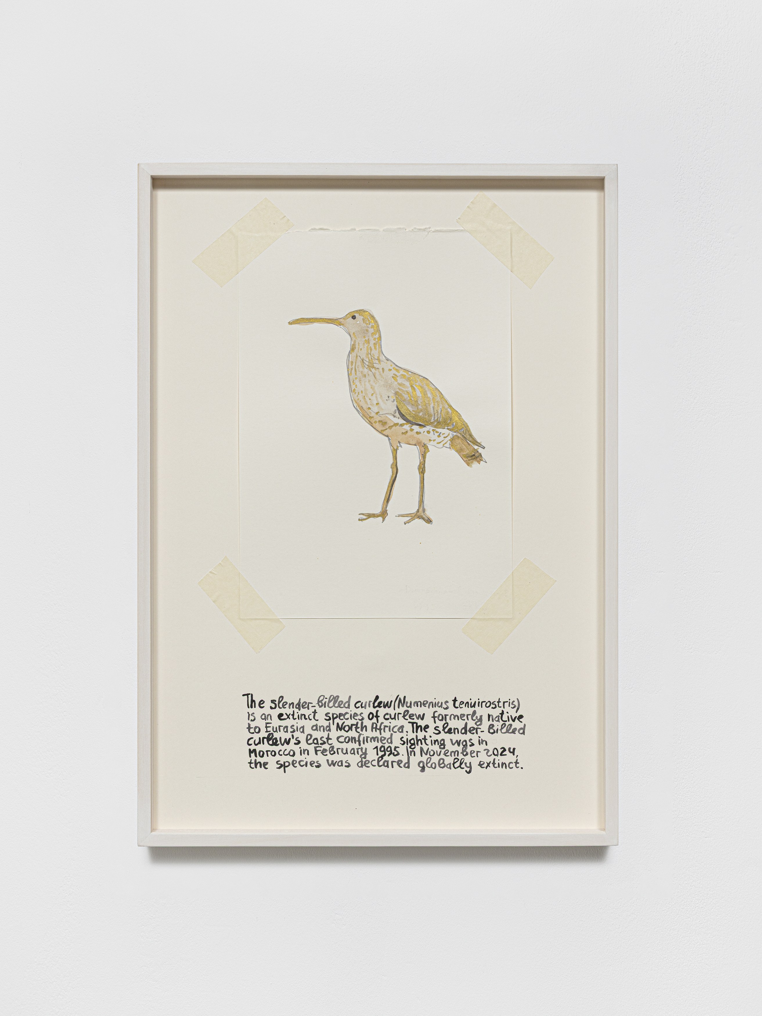 Anna Jermolaewa, You can count on me at Galerie Molitor, photo 50