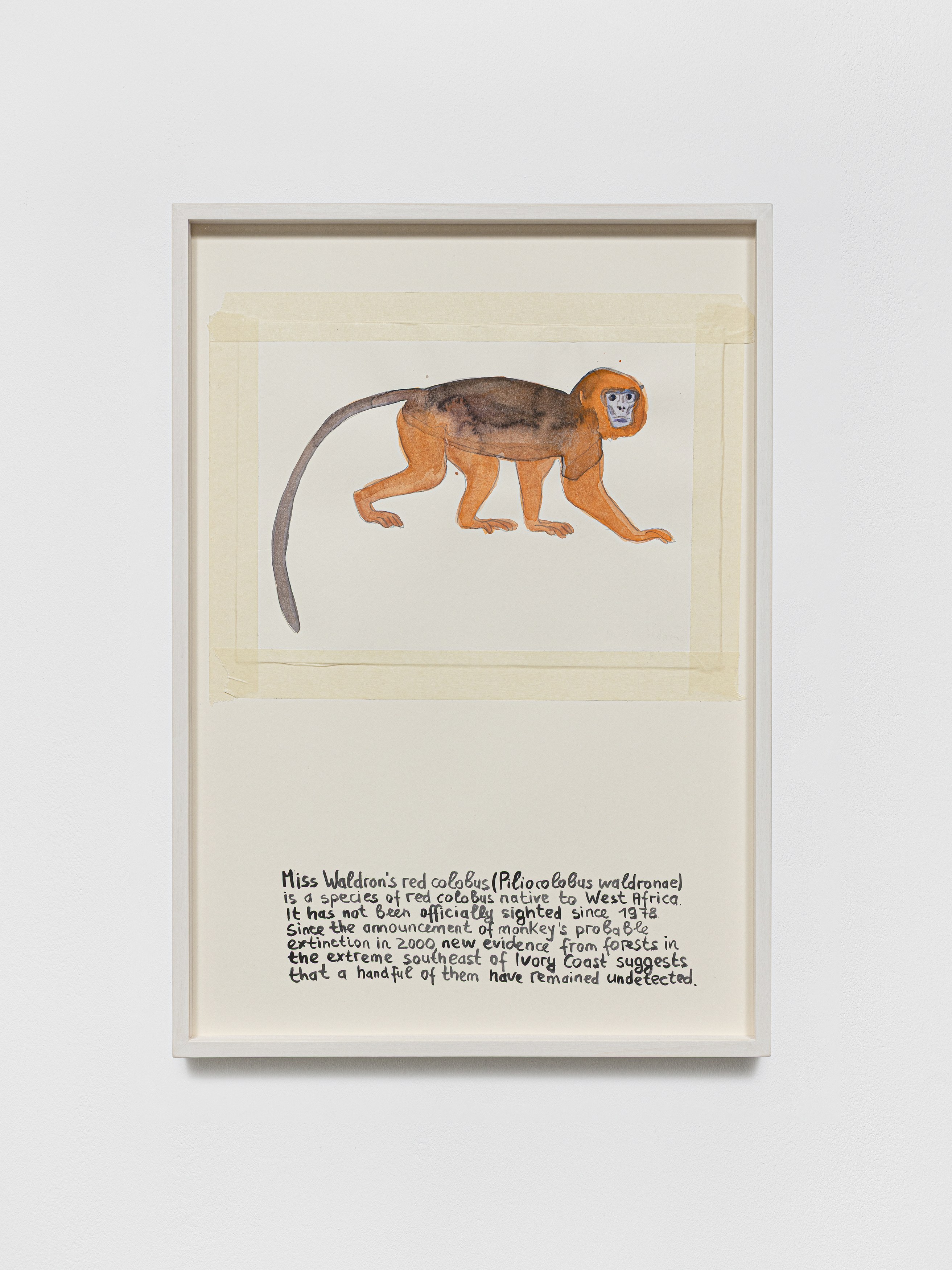 Anna Jermolaewa, You can count on me at Galerie Molitor, photo 51