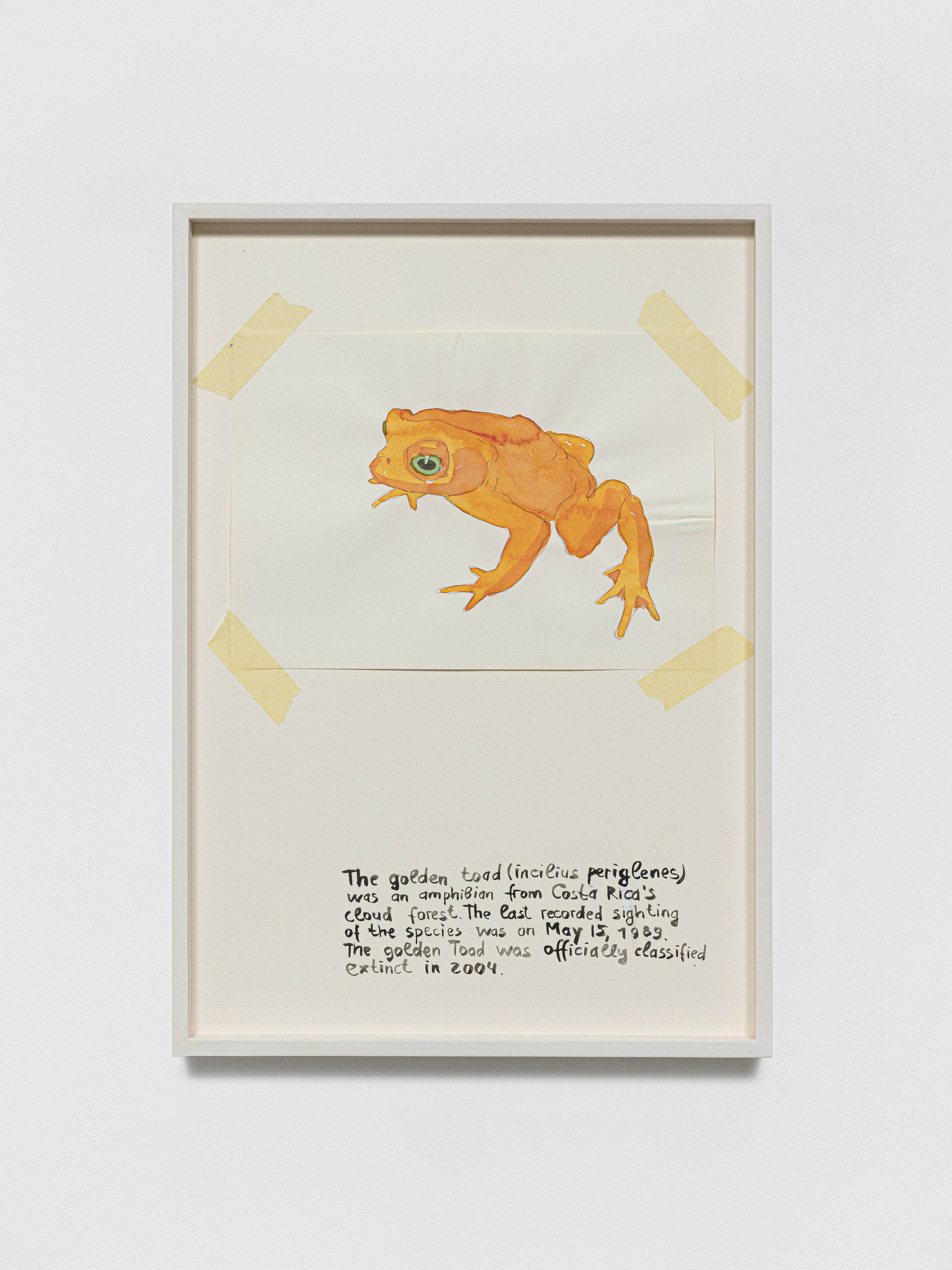 Anna Jermolaewa, You can count on me at Galerie Molitor, photo 52