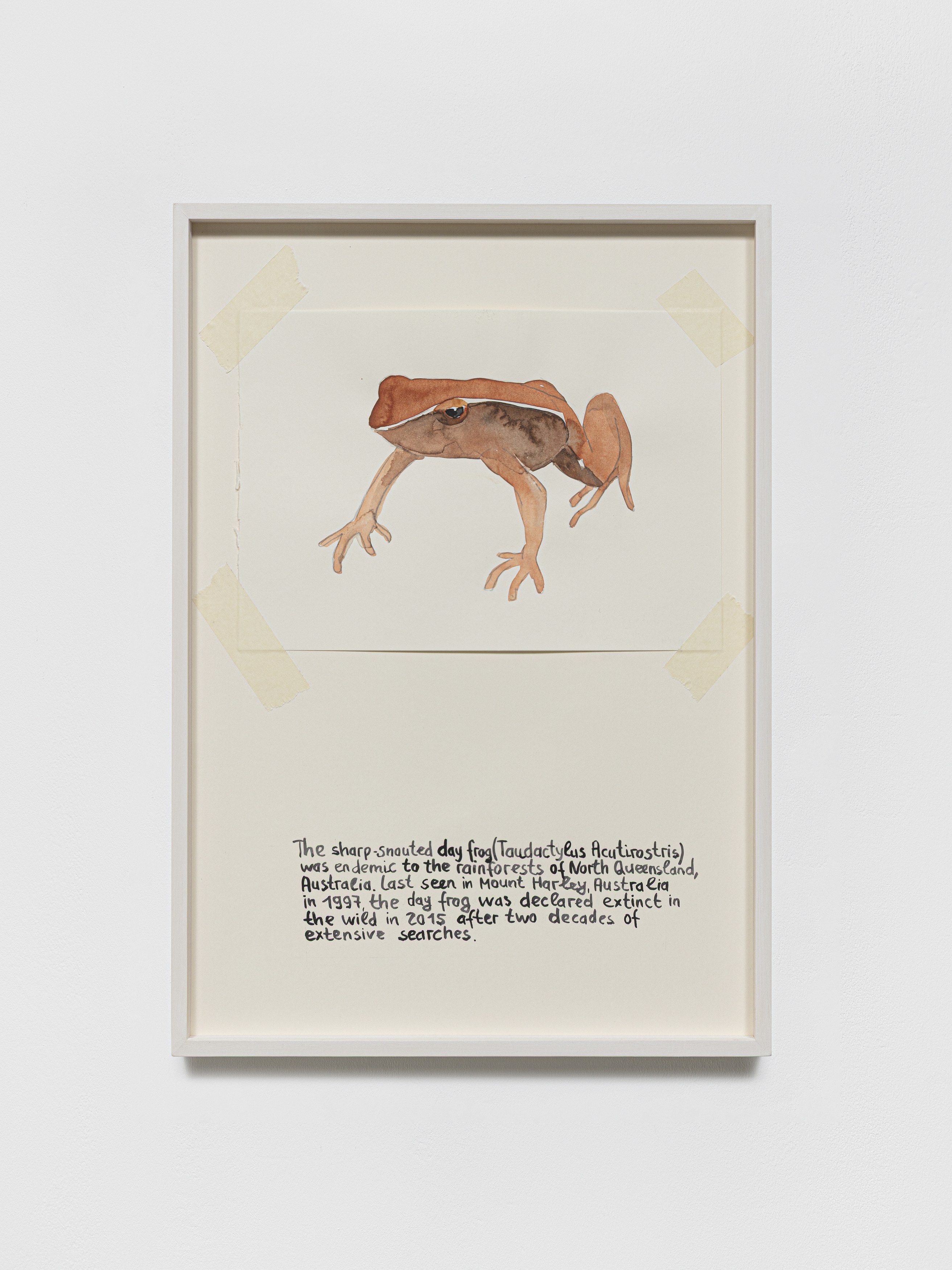 Anna Jermolaewa, You can count on me at Galerie Molitor, photo 53