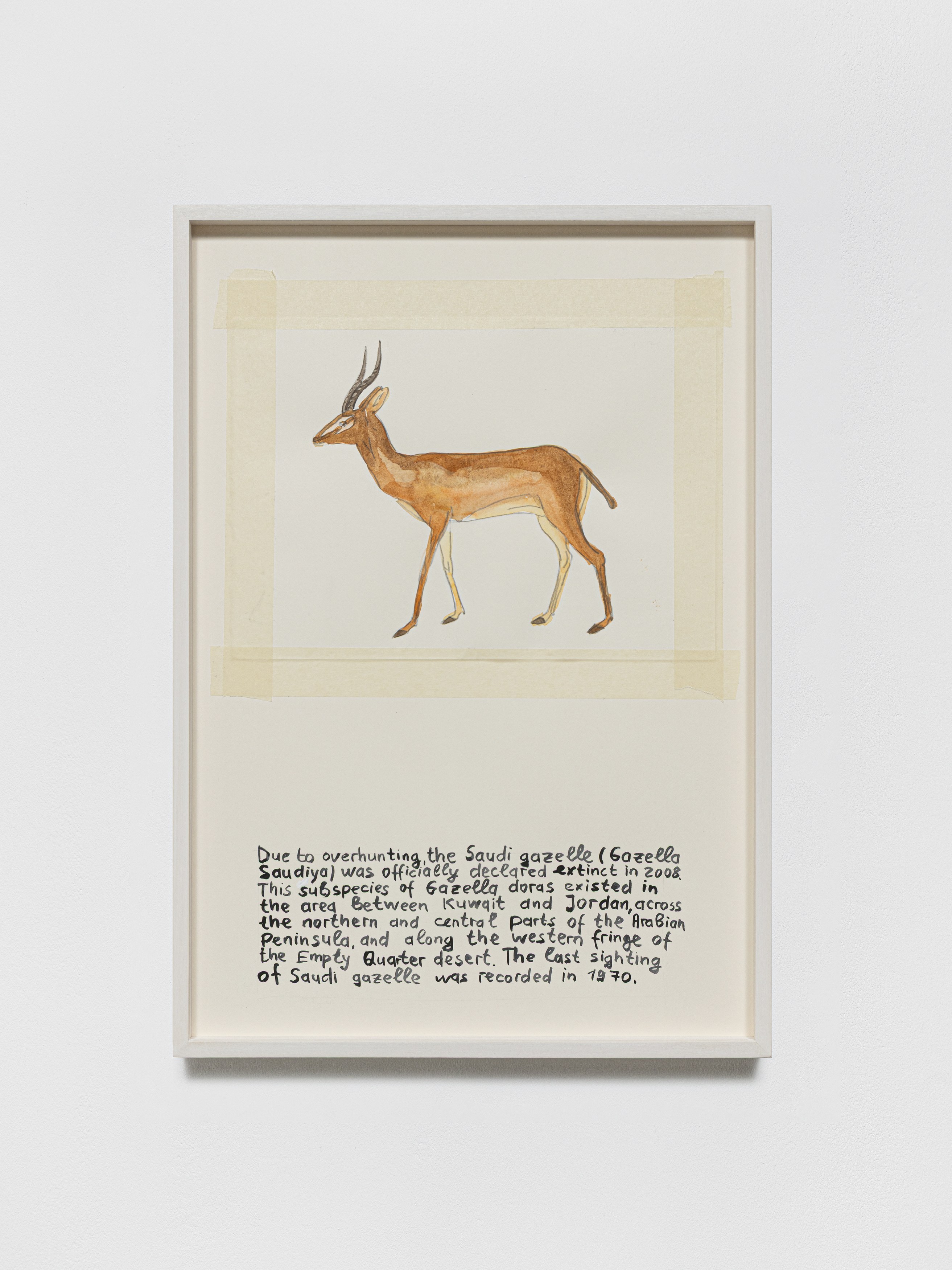 Anna Jermolaewa, You can count on me at Galerie Molitor, photo 54