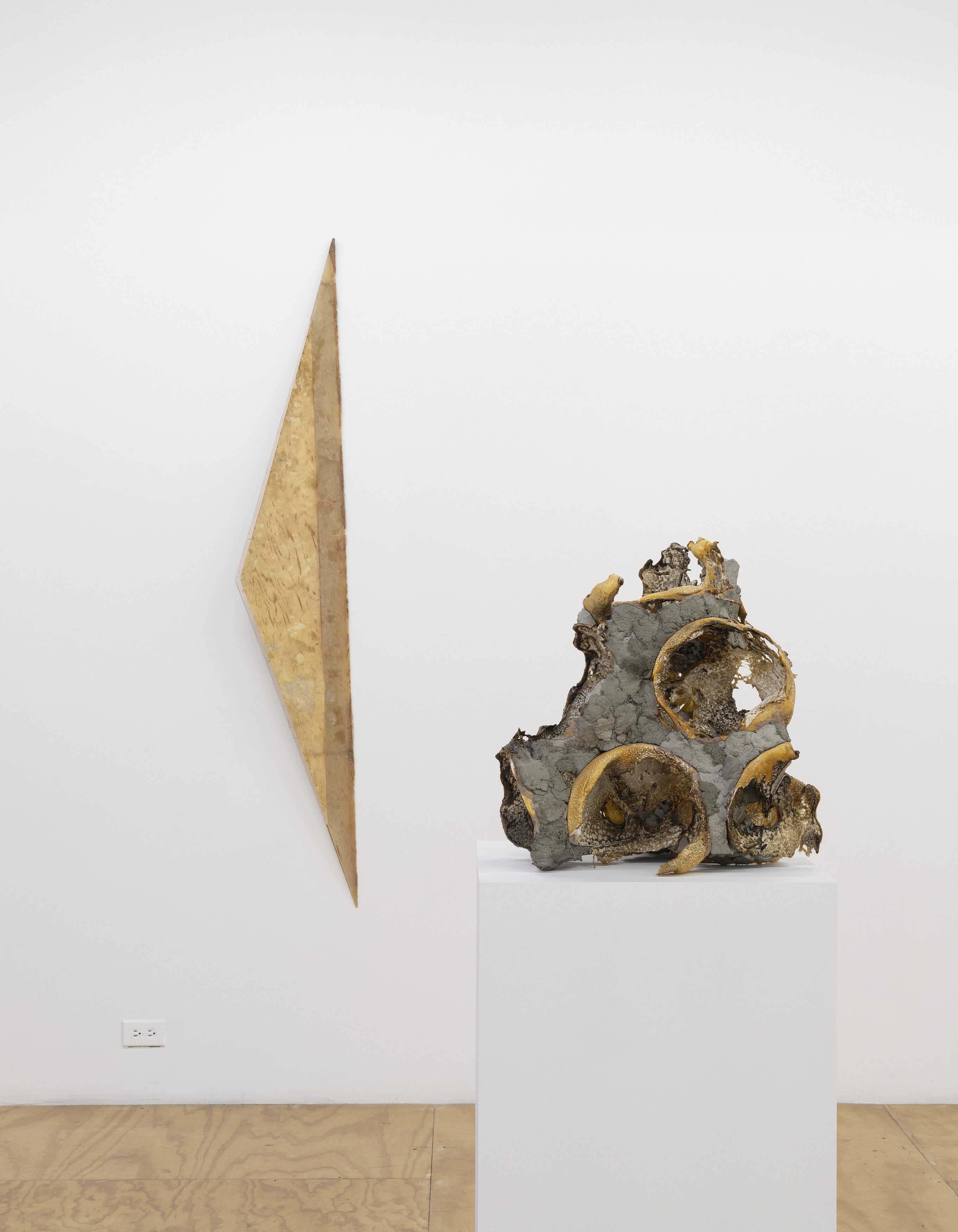 John Duff, John Duff at Reena Spaulings Fine Art, photo 22