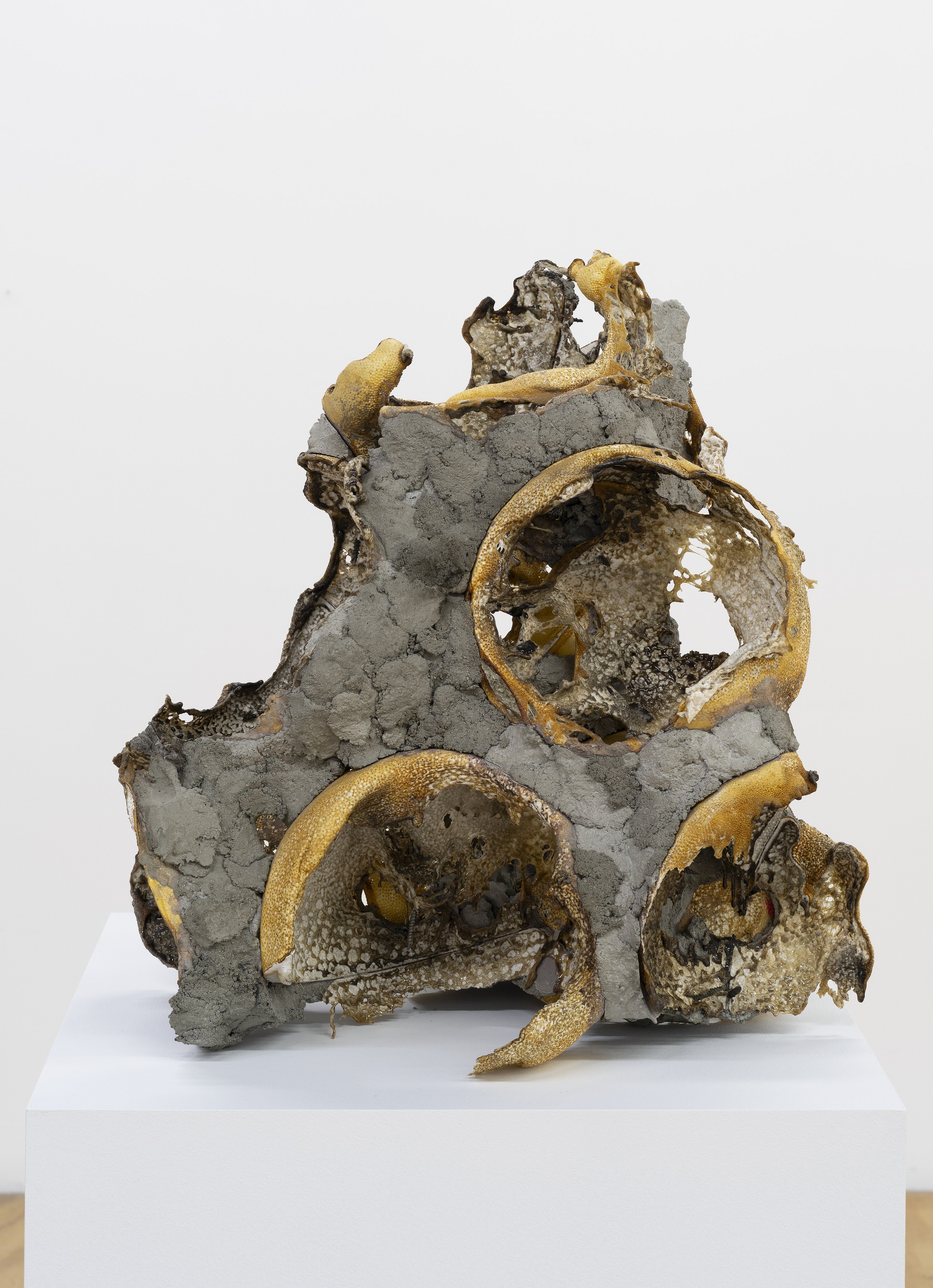 John Duff, John Duff at Reena Spaulings Fine Art, photo 64