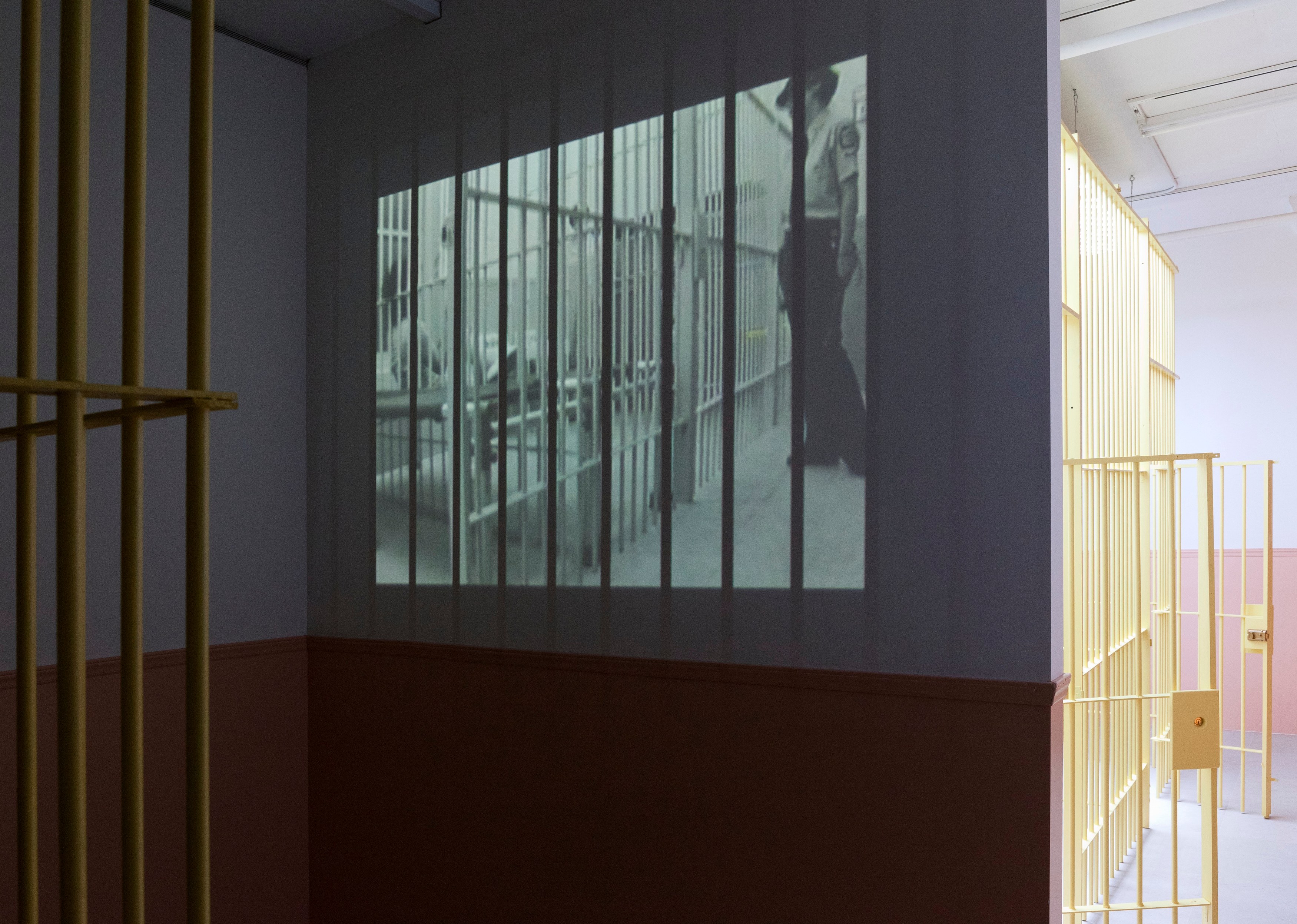 Tony Conrad, WiP at Greene Naftali, photo 13