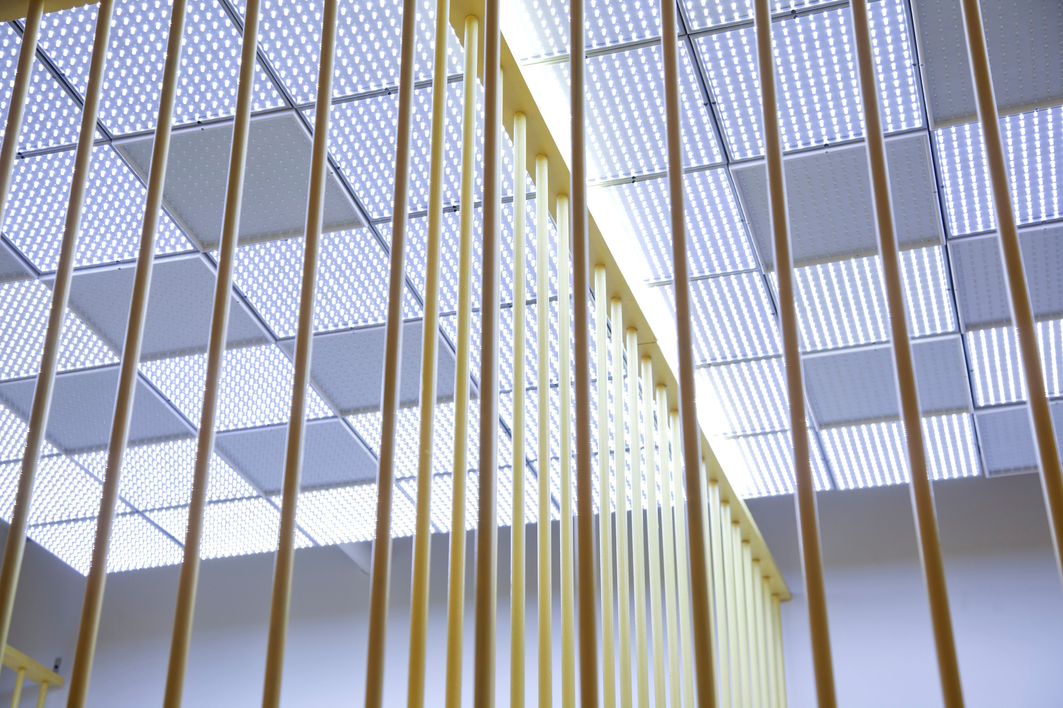 Tony Conrad, WiP at Greene Naftali, photo 15