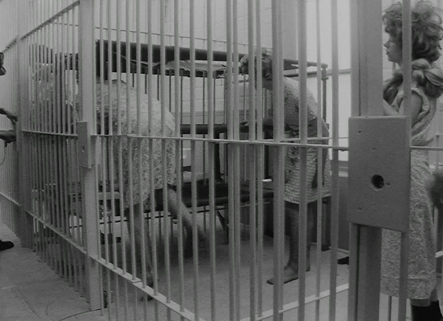 Tony Conrad, WiP at Greene Naftali, photo 20