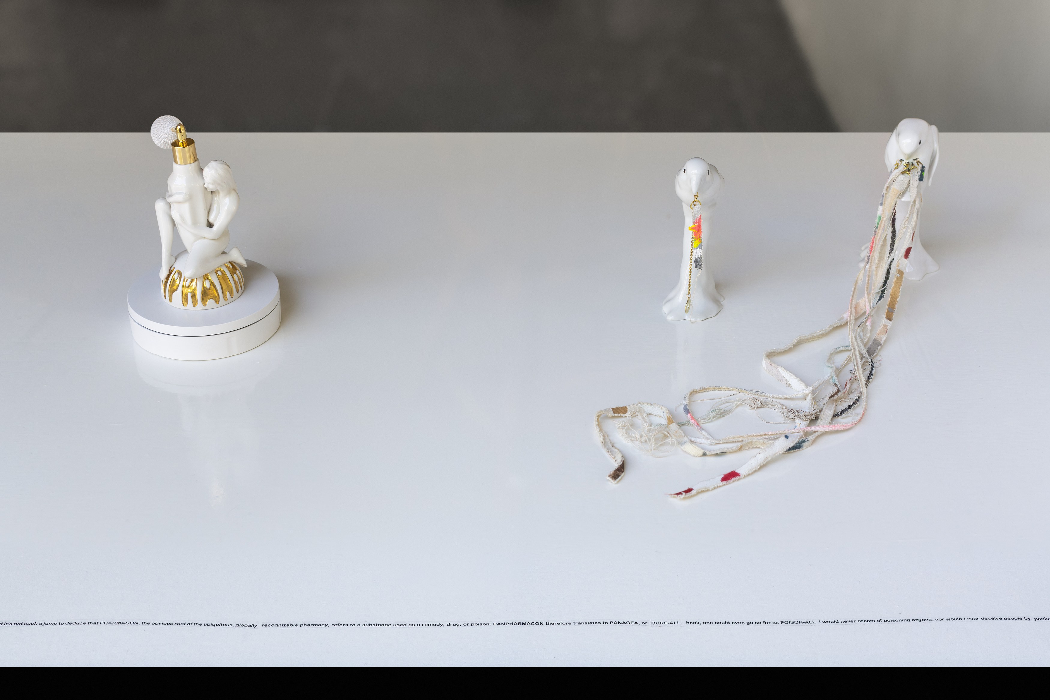 Frances Stark, Panpharmacon at greengrassi & Corvi-Mora, London, photo 5