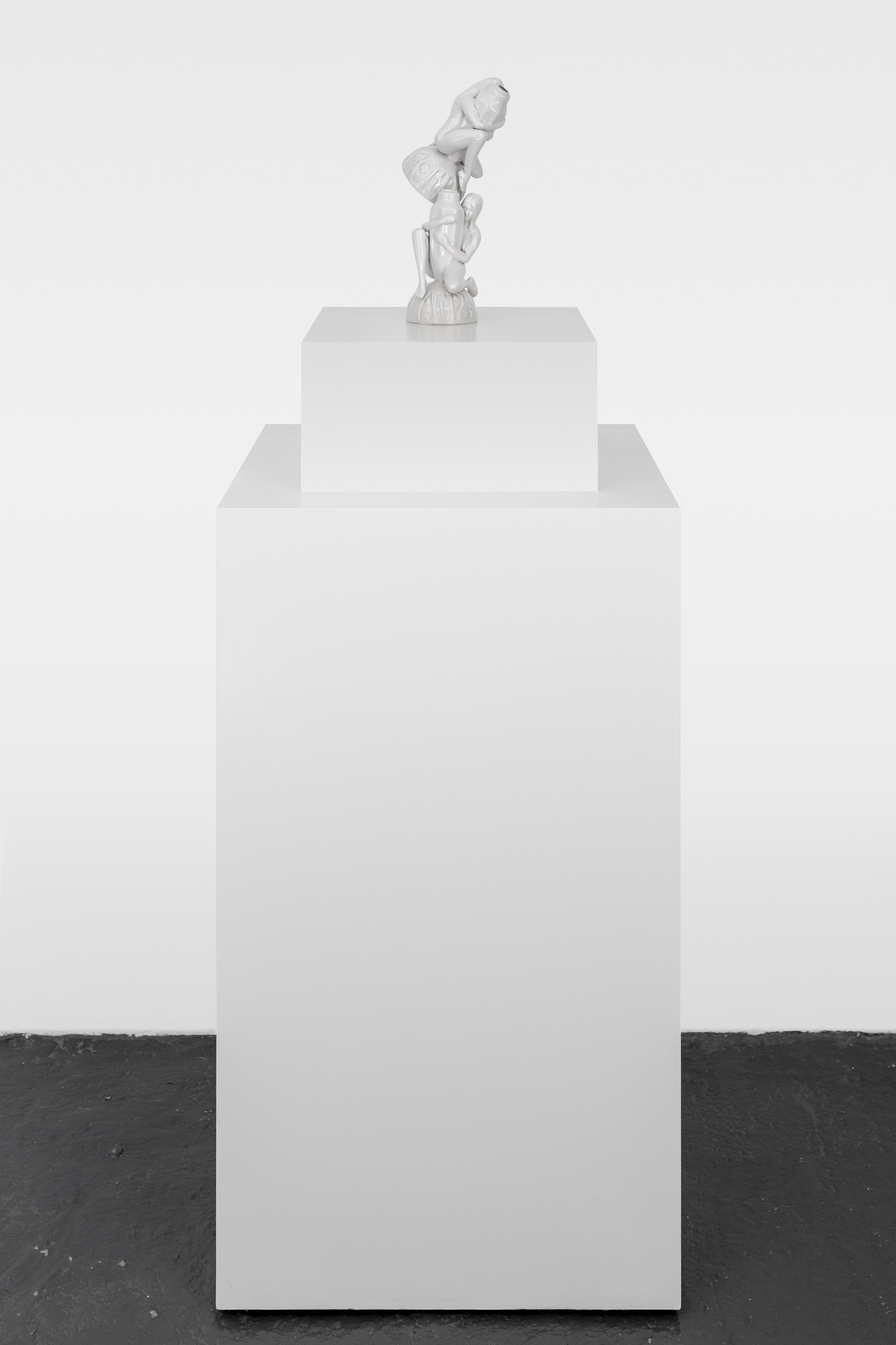 Frances Stark, Panpharmacon at greengrassi & Corvi-Mora, London, photo 14