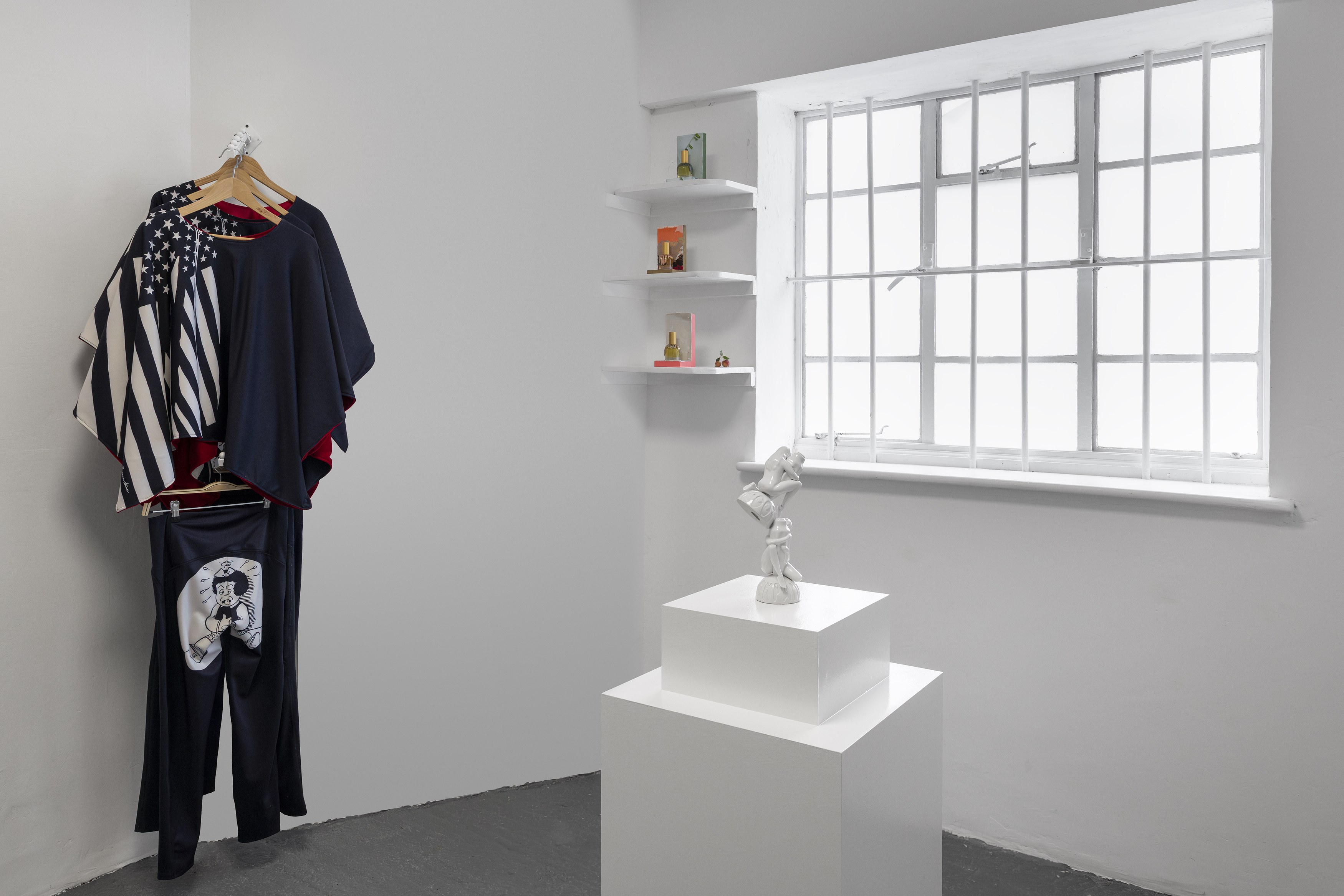 Frances Stark, Panpharmacon at greengrassi & Corvi-Mora, London, photo 9