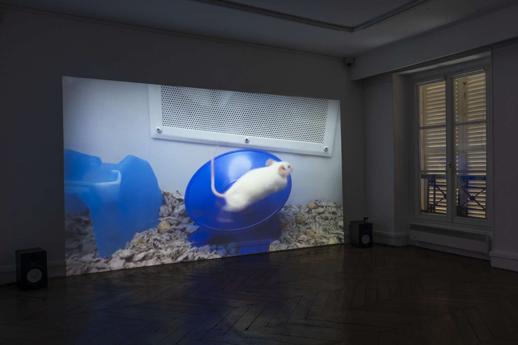 Oscar Ameye, Antonin Sambussy, Secret Track at La Galerie du Crous de Paris, photo 33
