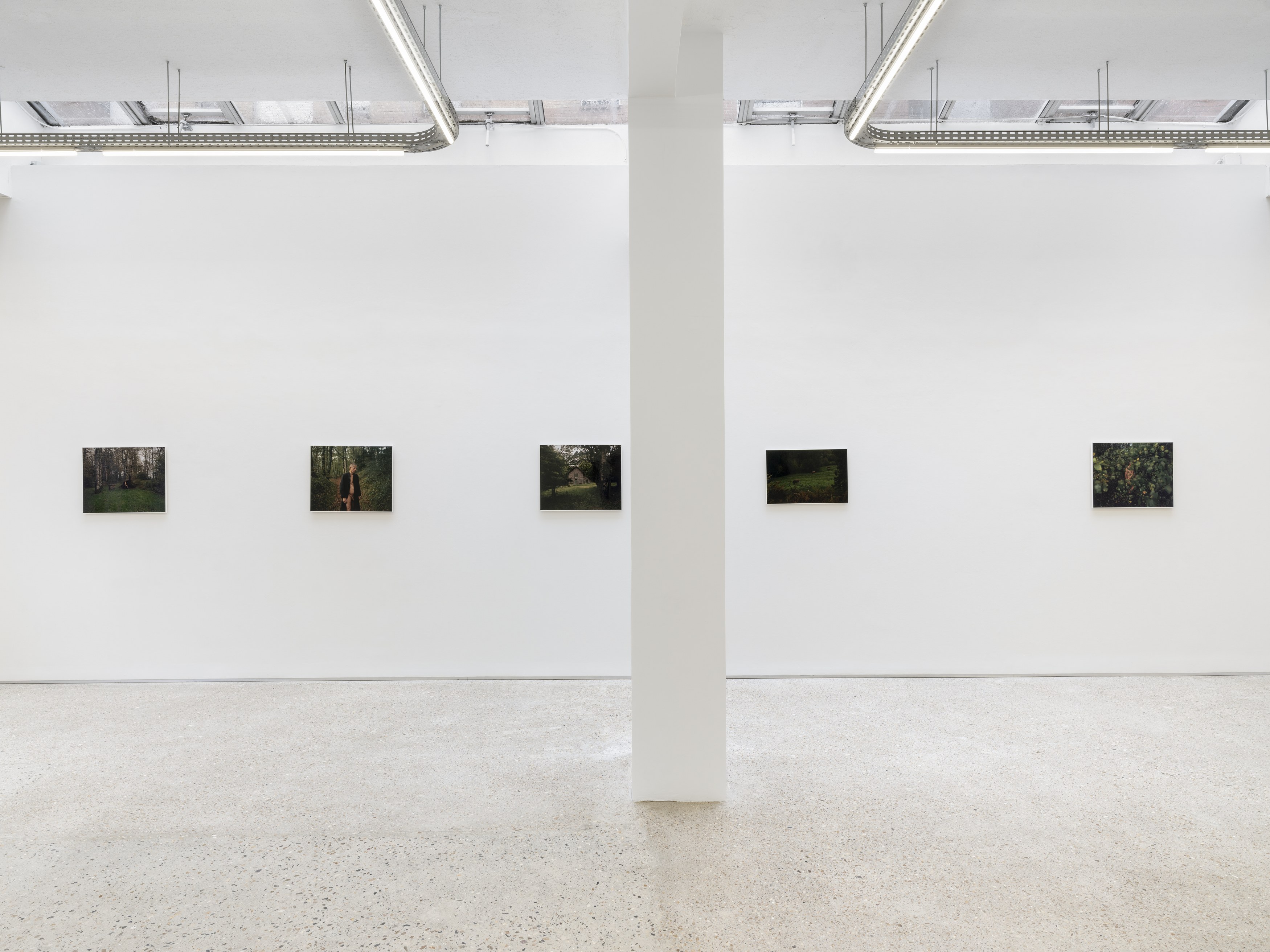Alain Guiraudie, Untitled at Tragic Venus, CELESTE | data center Marilyn, Champs-sur-Marne, photo 3