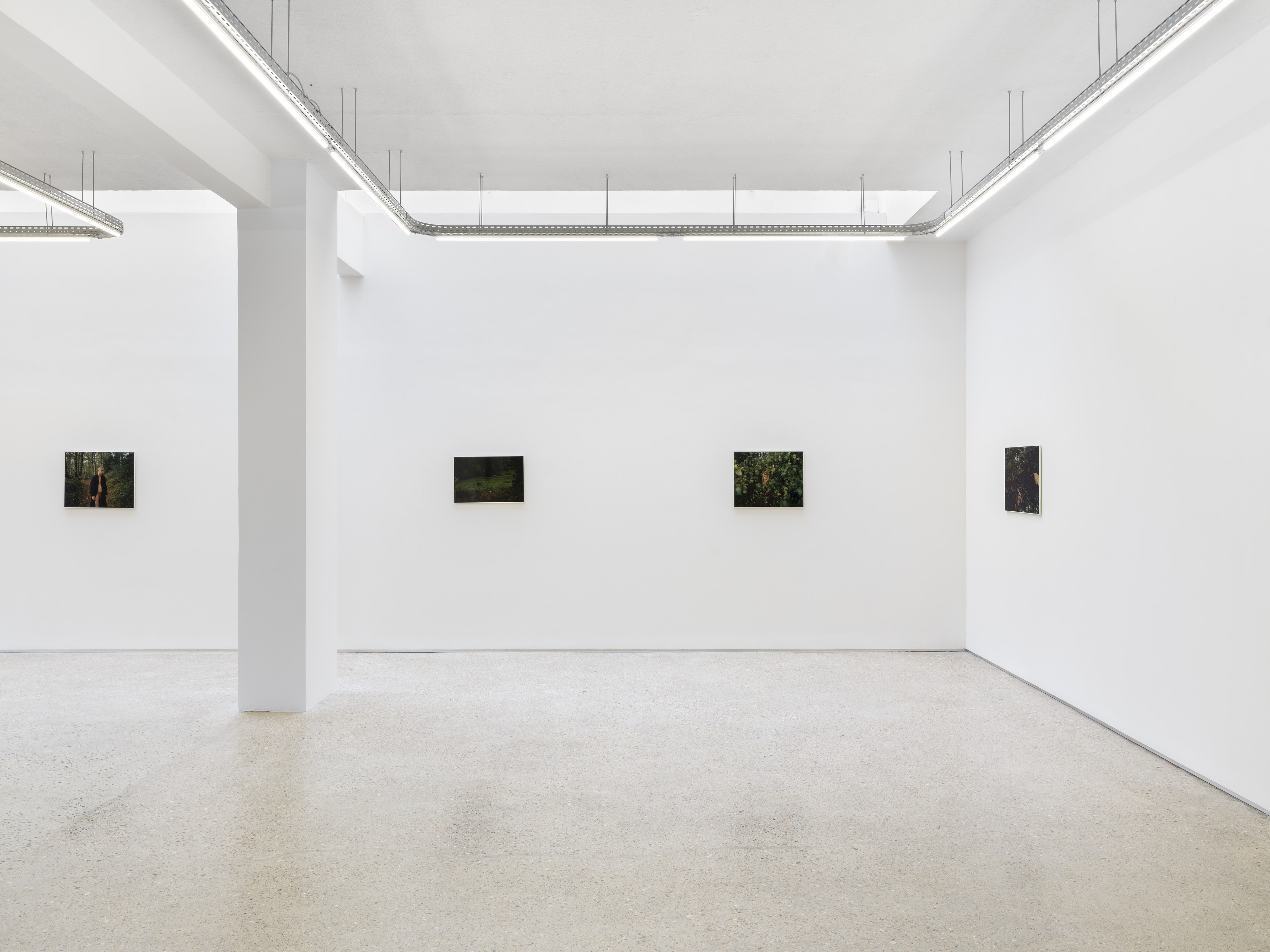 Alain Guiraudie, Untitled at Tragic Venus, CELESTE | data center Marilyn, Champs-sur-Marne, photo 8