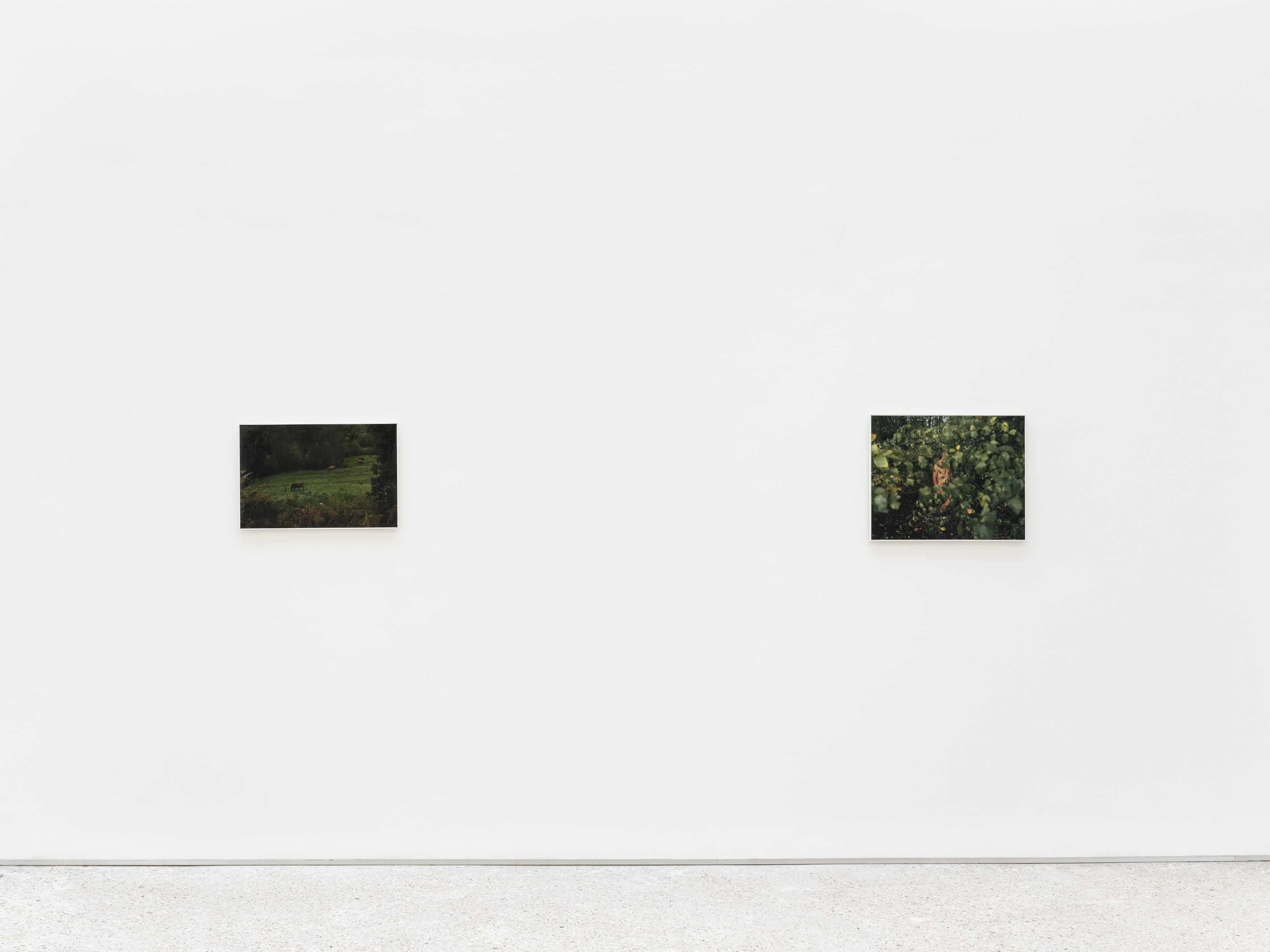 Alain Guiraudie, Untitled at Tragic Venus, CELESTE | data center Marilyn, Champs-sur-Marne, photo 9