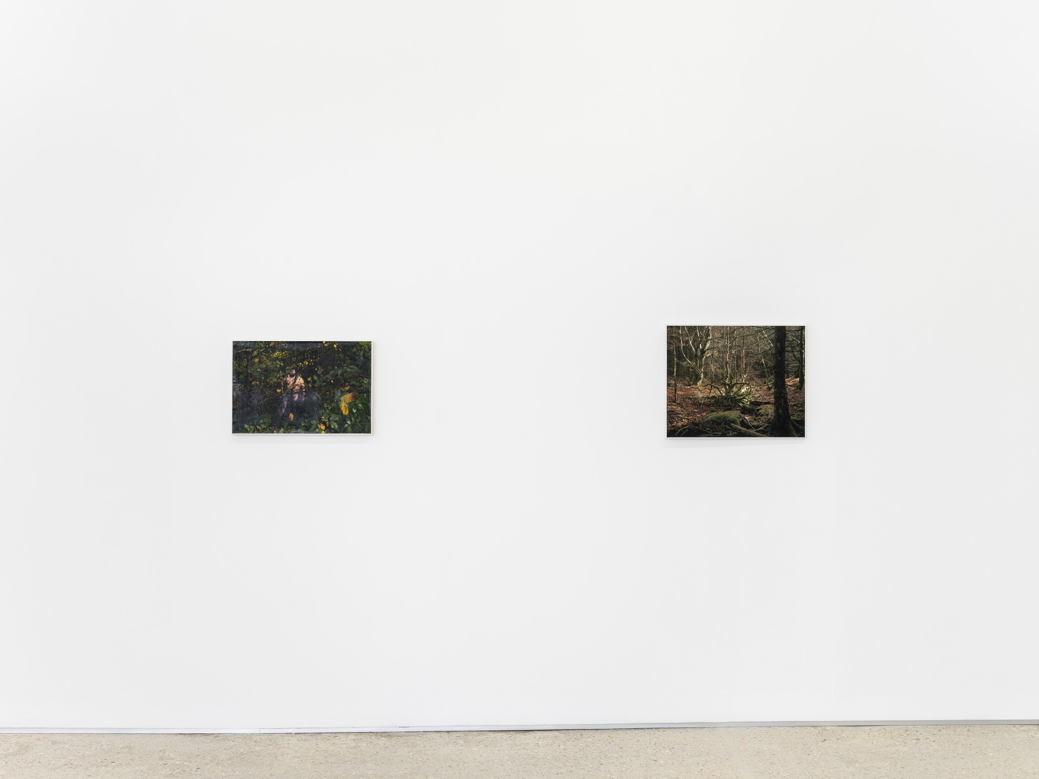 Alain Guiraudie, Untitled at Tragic Venus, CELESTE | data center Marilyn, Champs-sur-Marne, photo 13