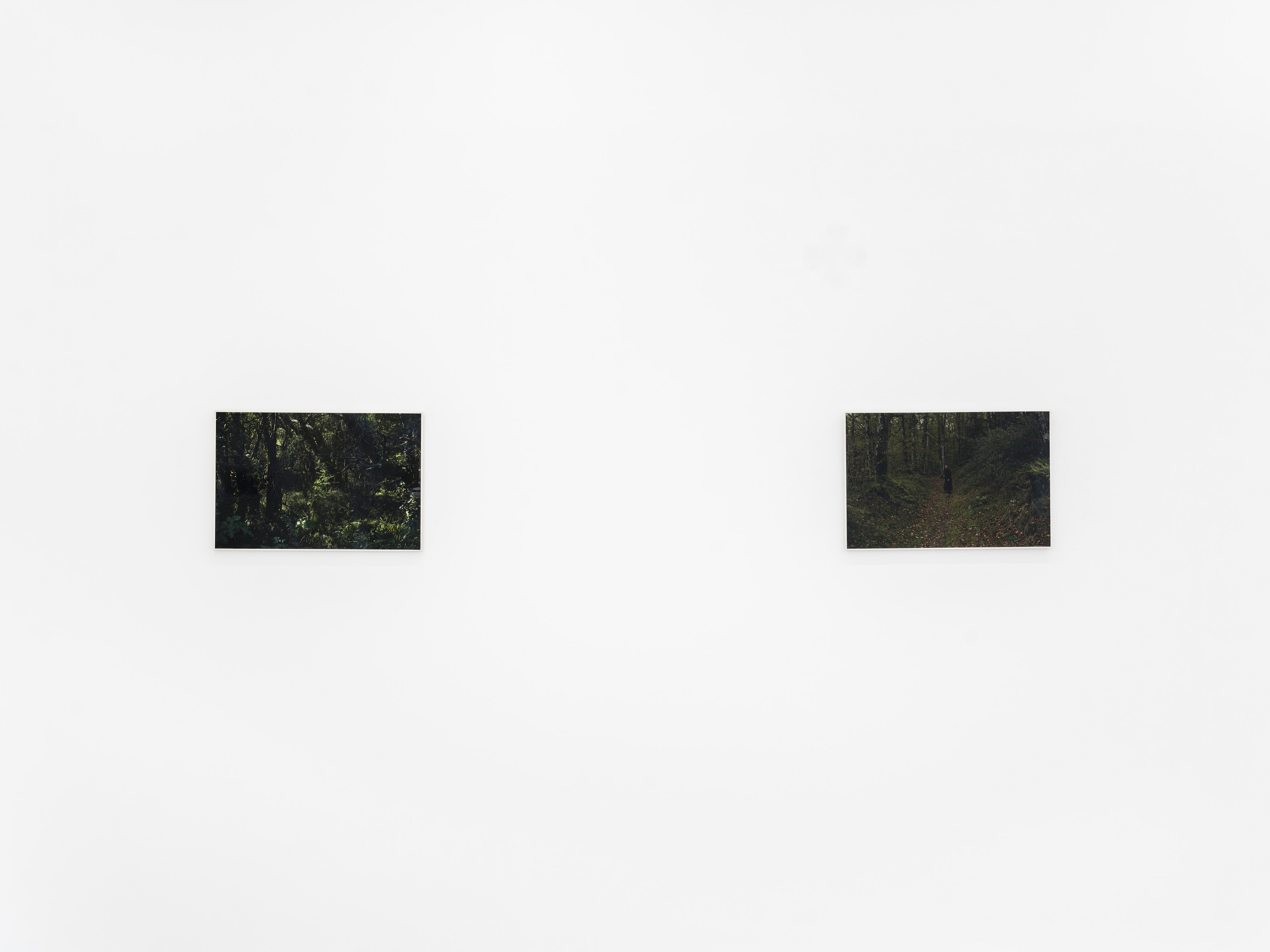 Alain Guiraudie, Untitled at Tragic Venus, CELESTE | data center Marilyn, Champs-sur-Marne, photo 24