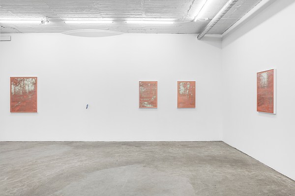 Image 2 of 14