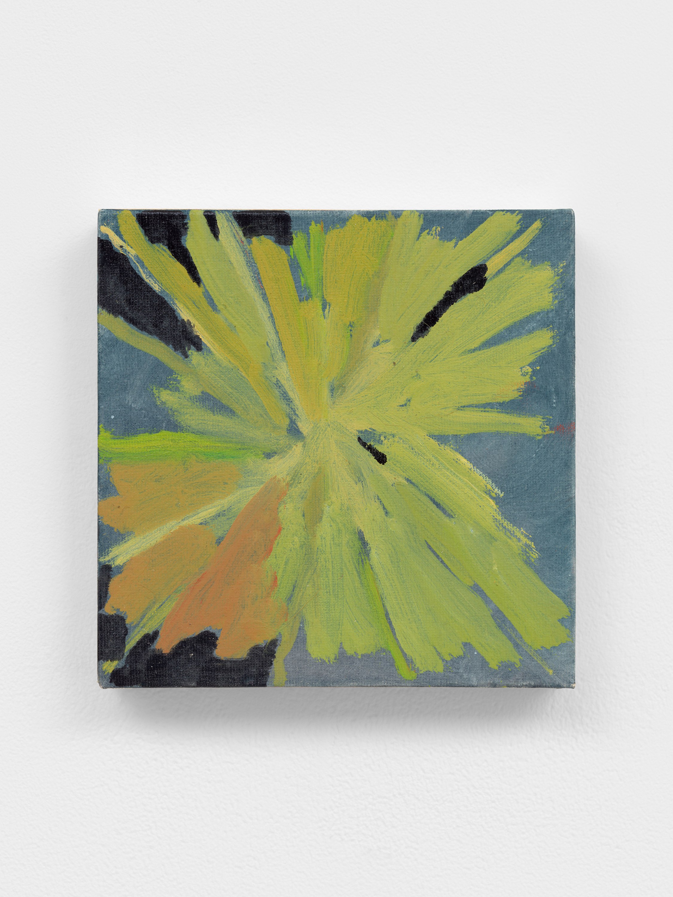 Donyel Ivy-Royal, A Flower in the Ending at David Peter Francis, photo 20