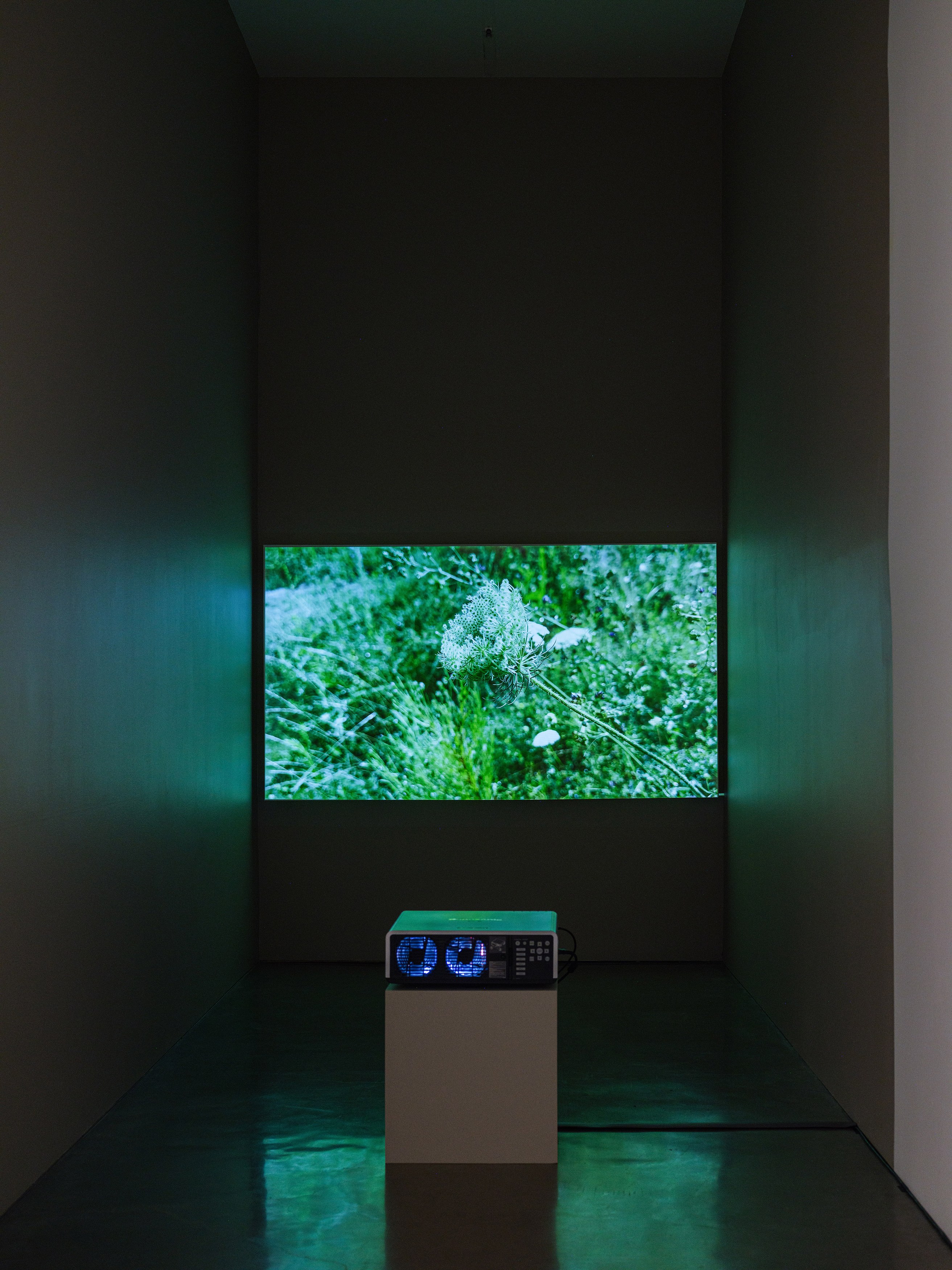 Wolfgang Tillmans, Keep Movin’ at Regen Projects, photo 9