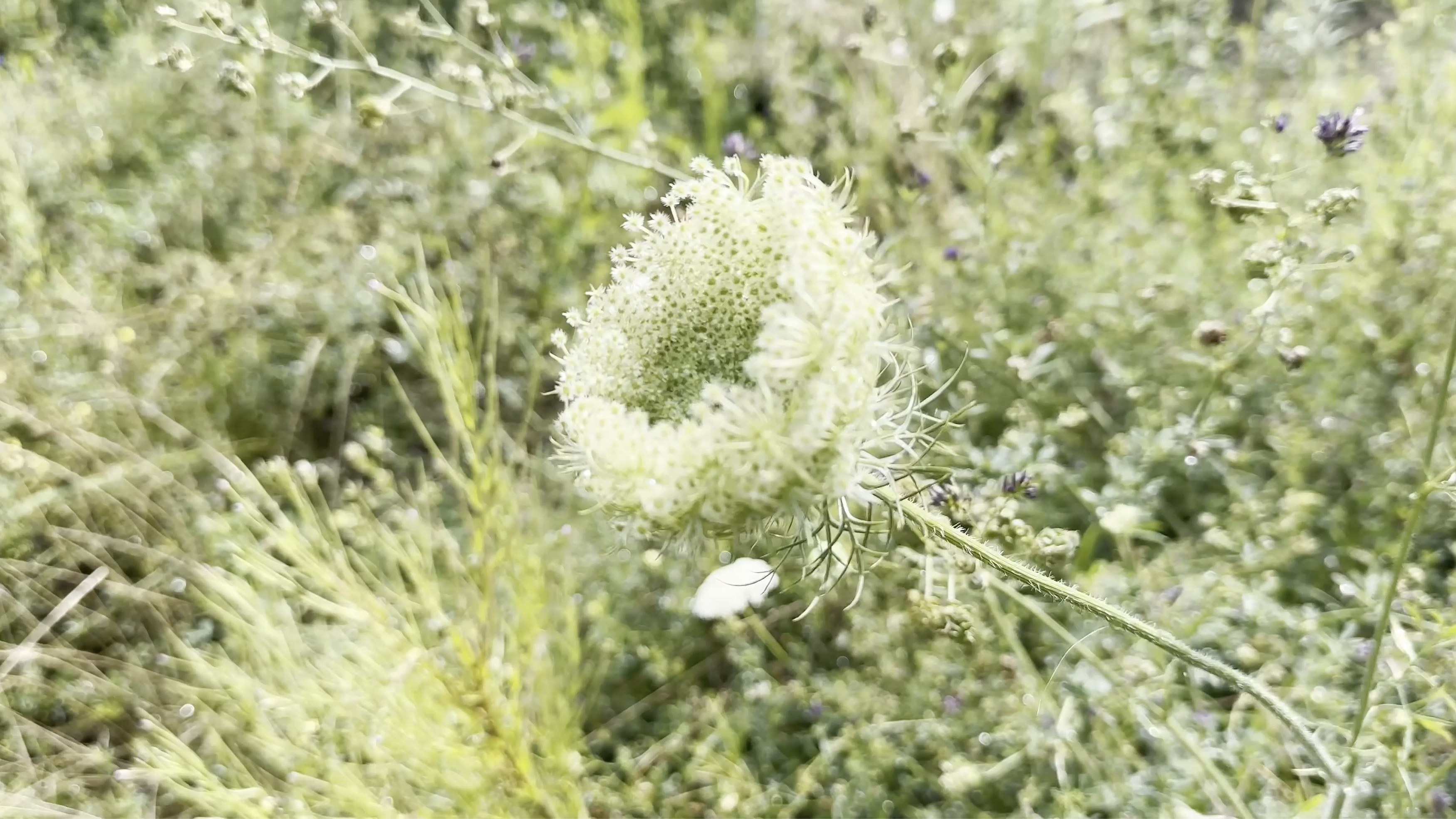 Wolfgang Tillmans, Keep Movin’ at Regen Projects, photo 52