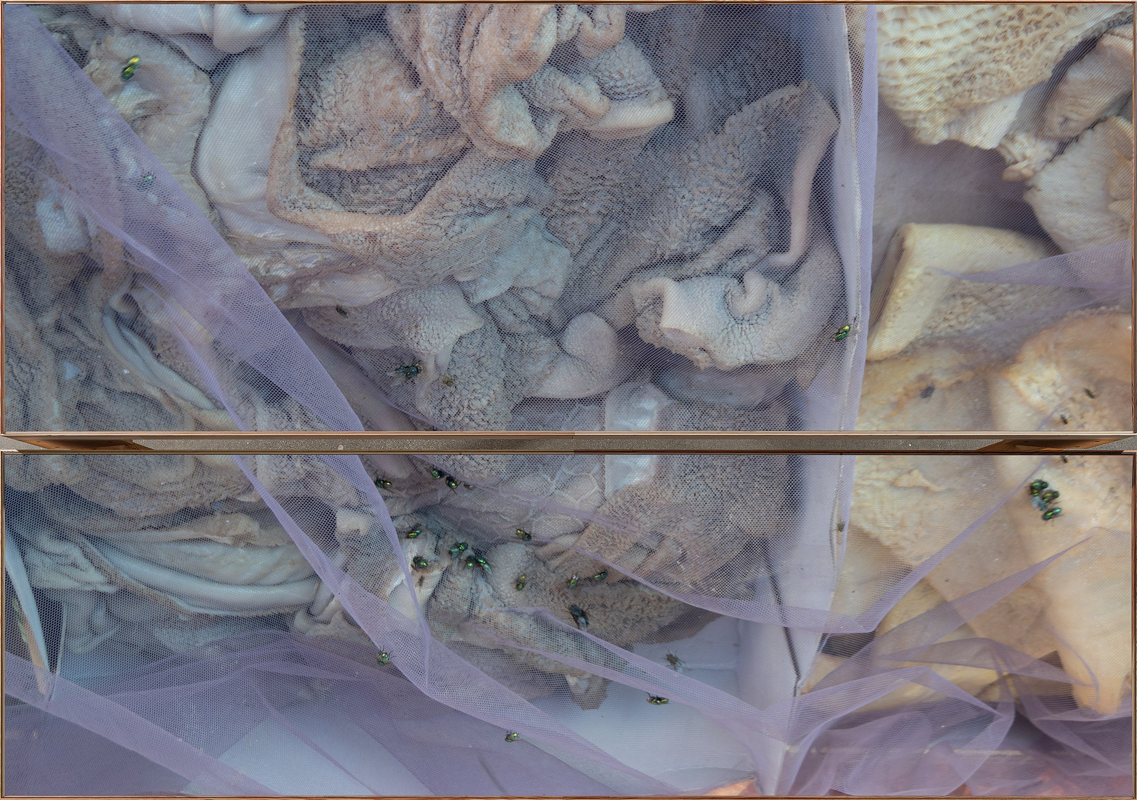 Wolfgang Tillmans, Keep Movin’ at Regen Projects, photo 54