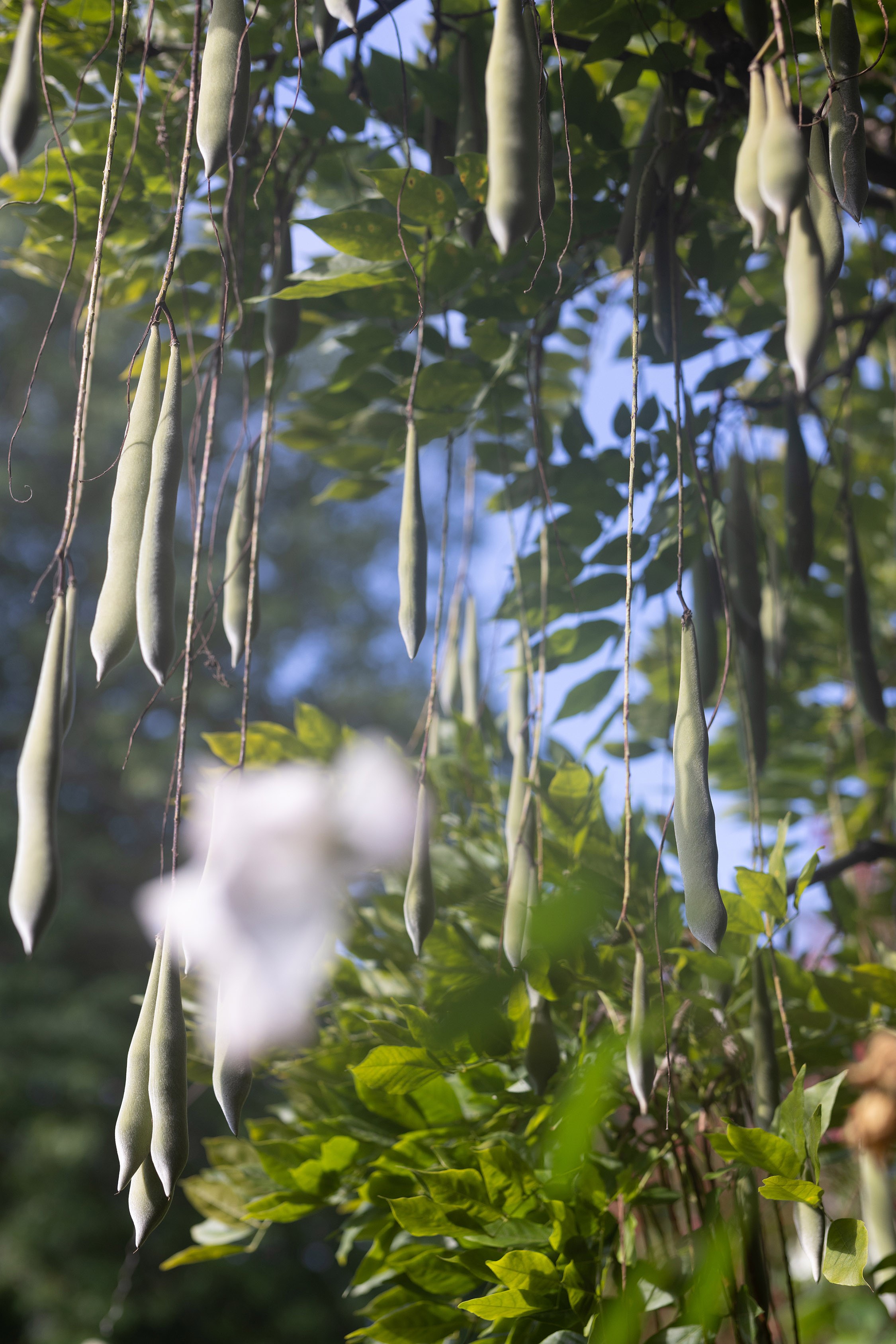 Wolfgang Tillmans, Keep Movin’ at Regen Projects, photo 80