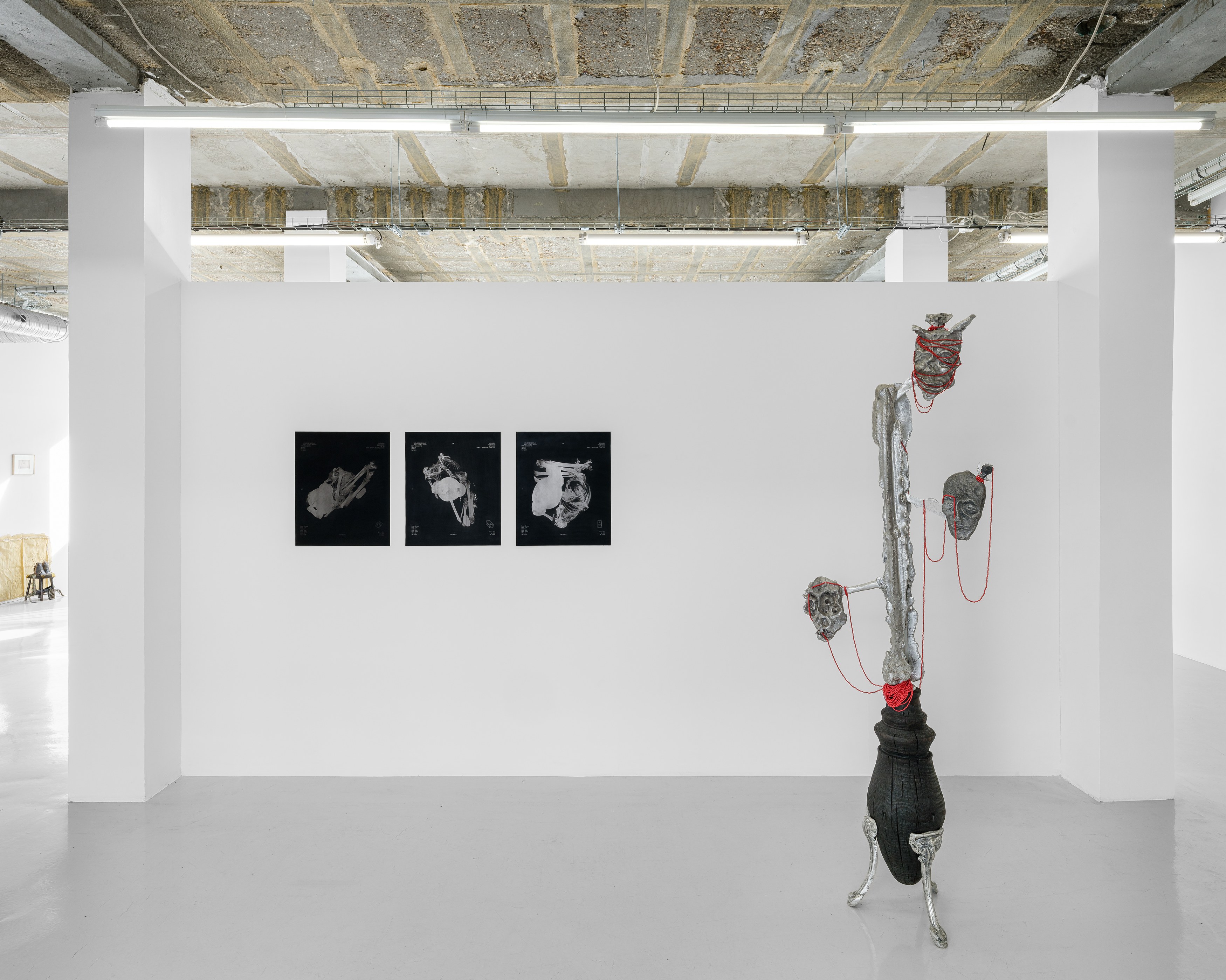 Le lent demain, Le lent demain at Air de Paris, photo 21