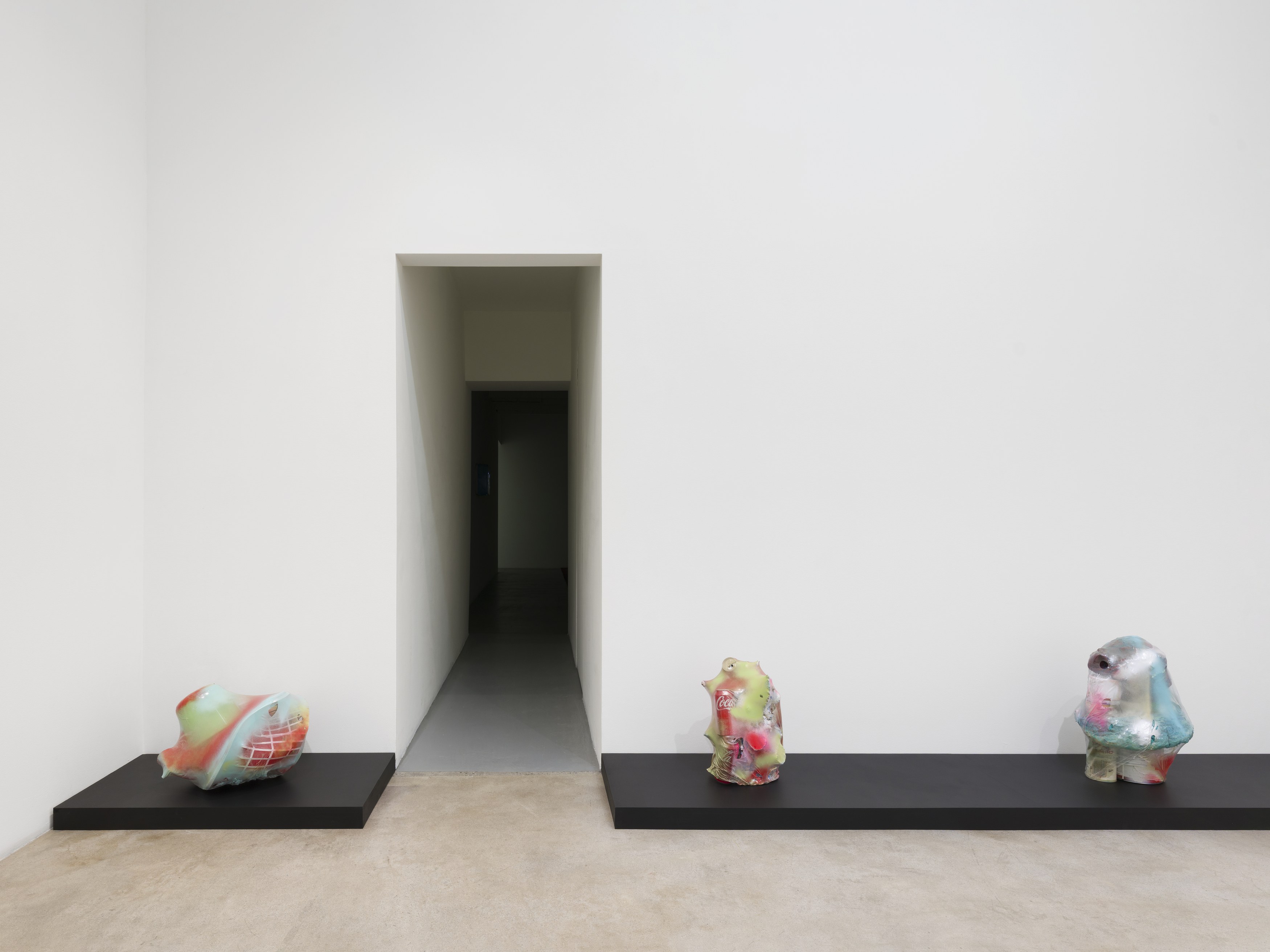 Bjorn Copeland, Boiled Alive at Michael Benevento Gallery, photo 4