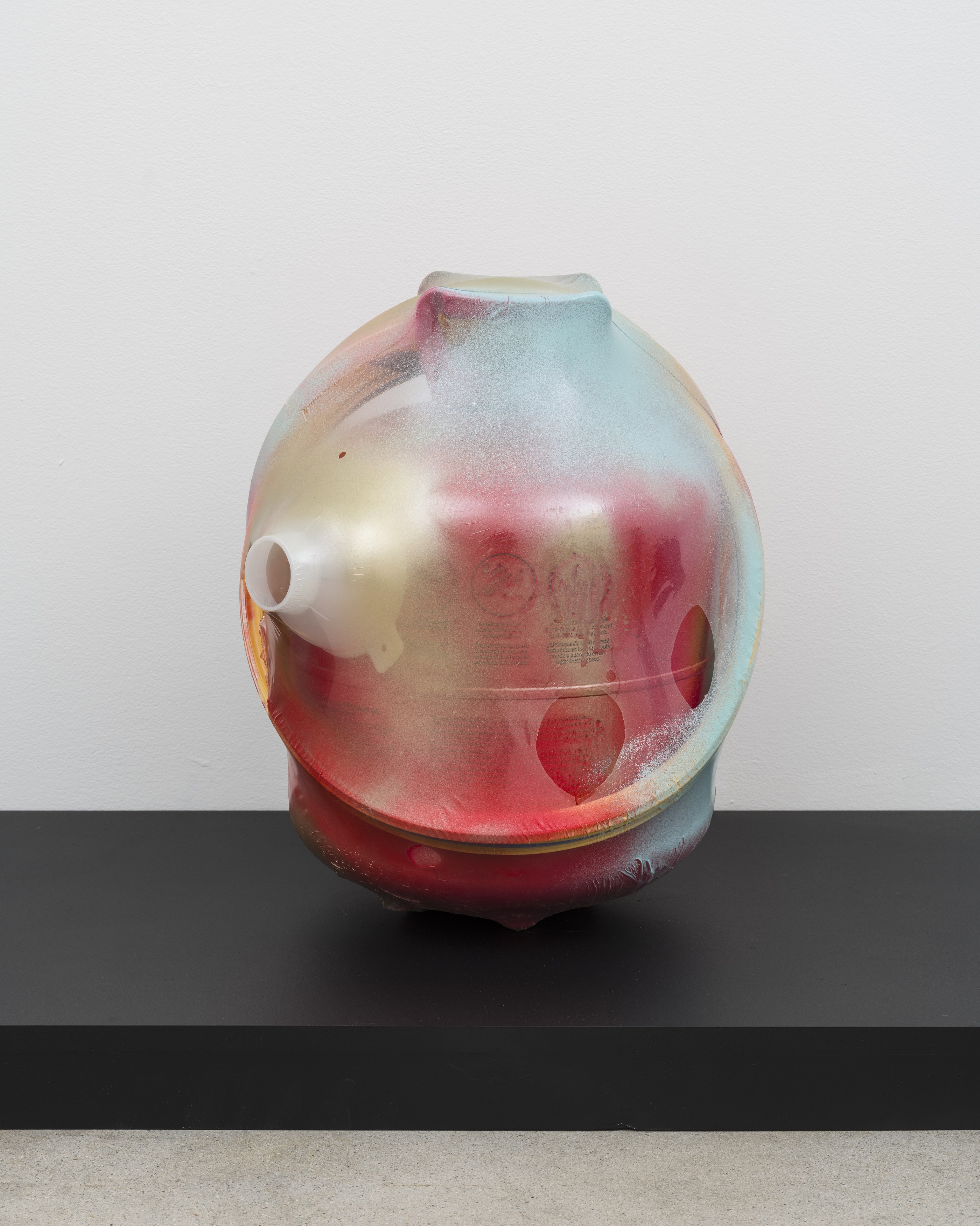Bjorn Copeland, Boiled Alive at Michael Benevento Gallery, photo 5