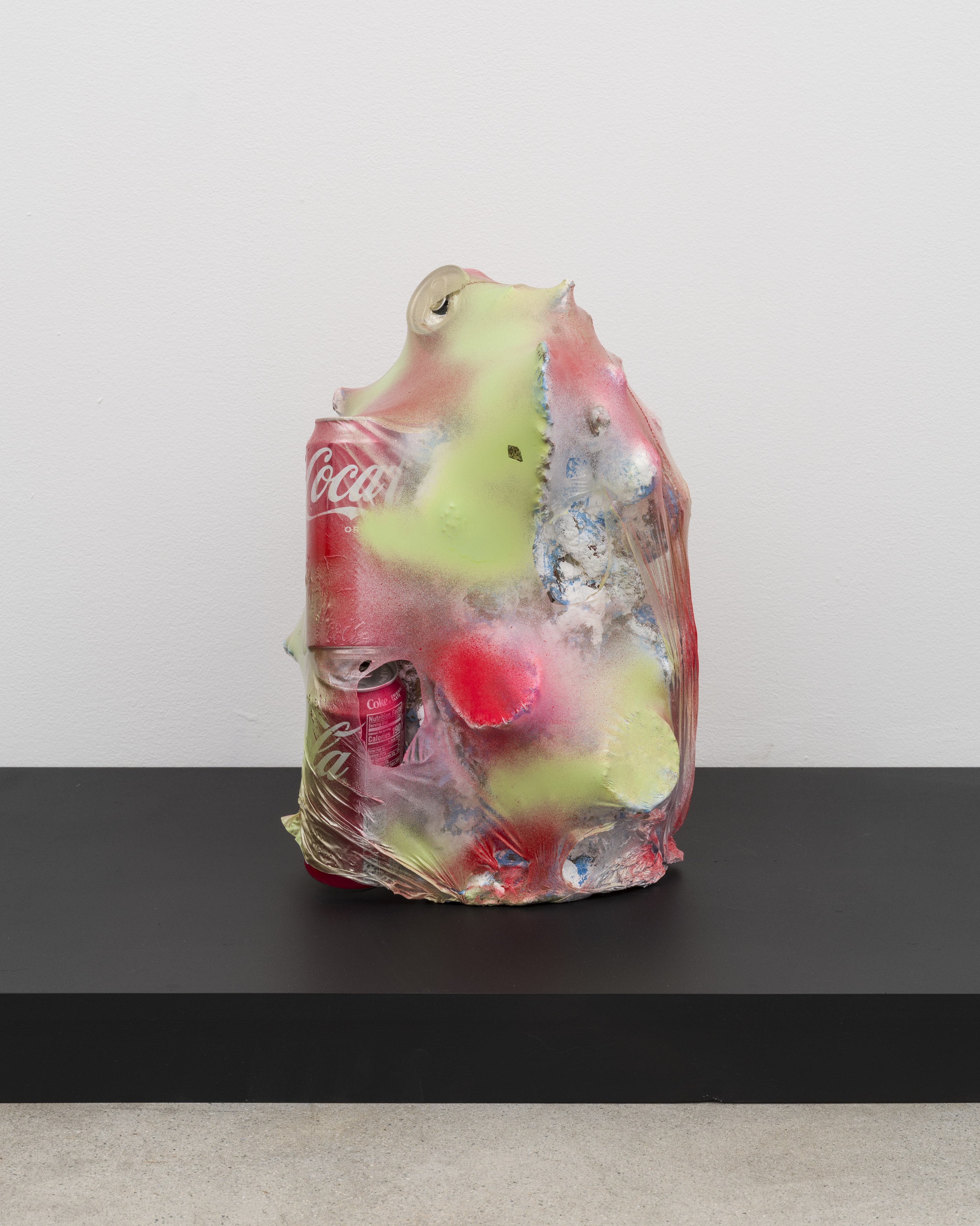 Bjorn Copeland, Boiled Alive at Michael Benevento Gallery, photo 8