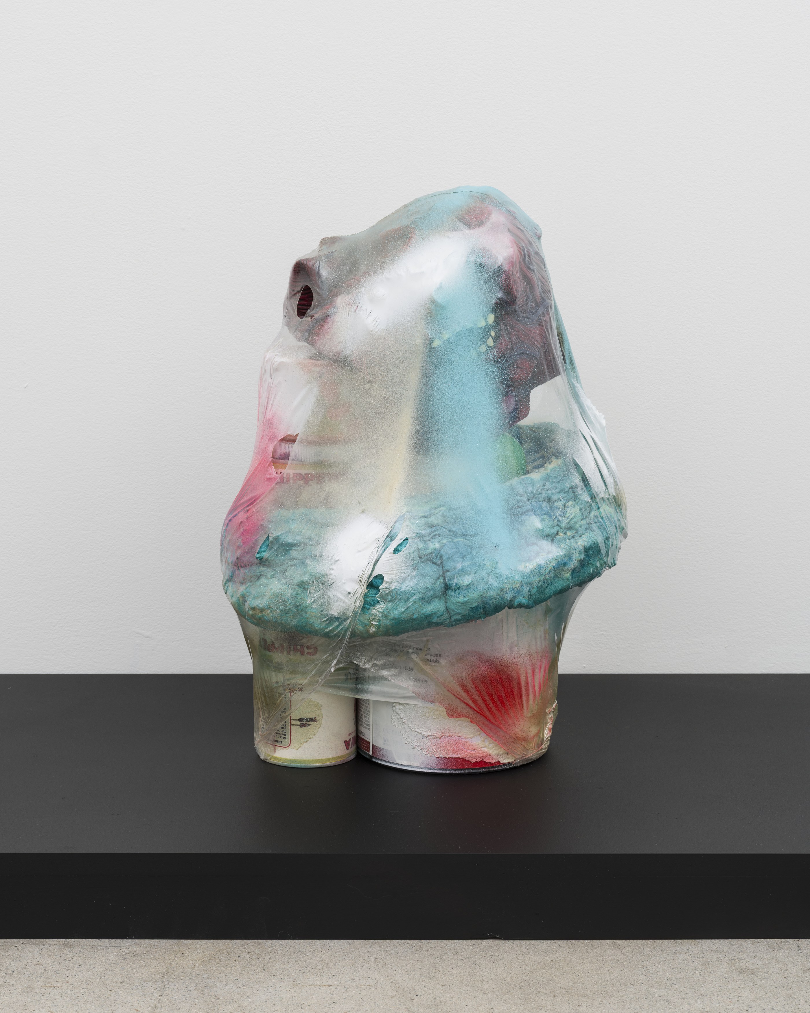 Bjorn Copeland, Boiled Alive at Michael Benevento Gallery, photo 7