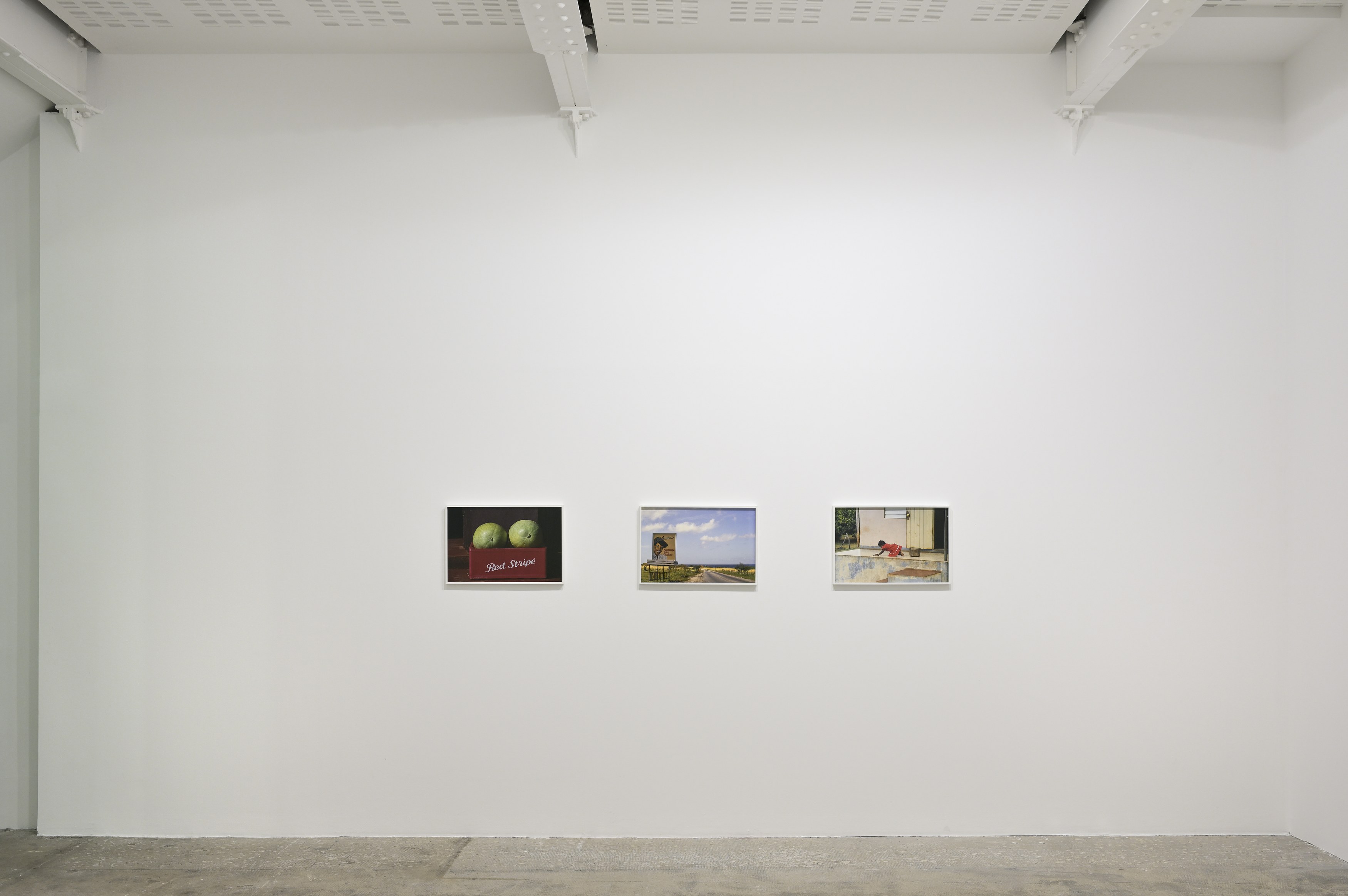 Barkley L. Hendricks, All is Portraiture at Marian Goodman Gallery, photo 4