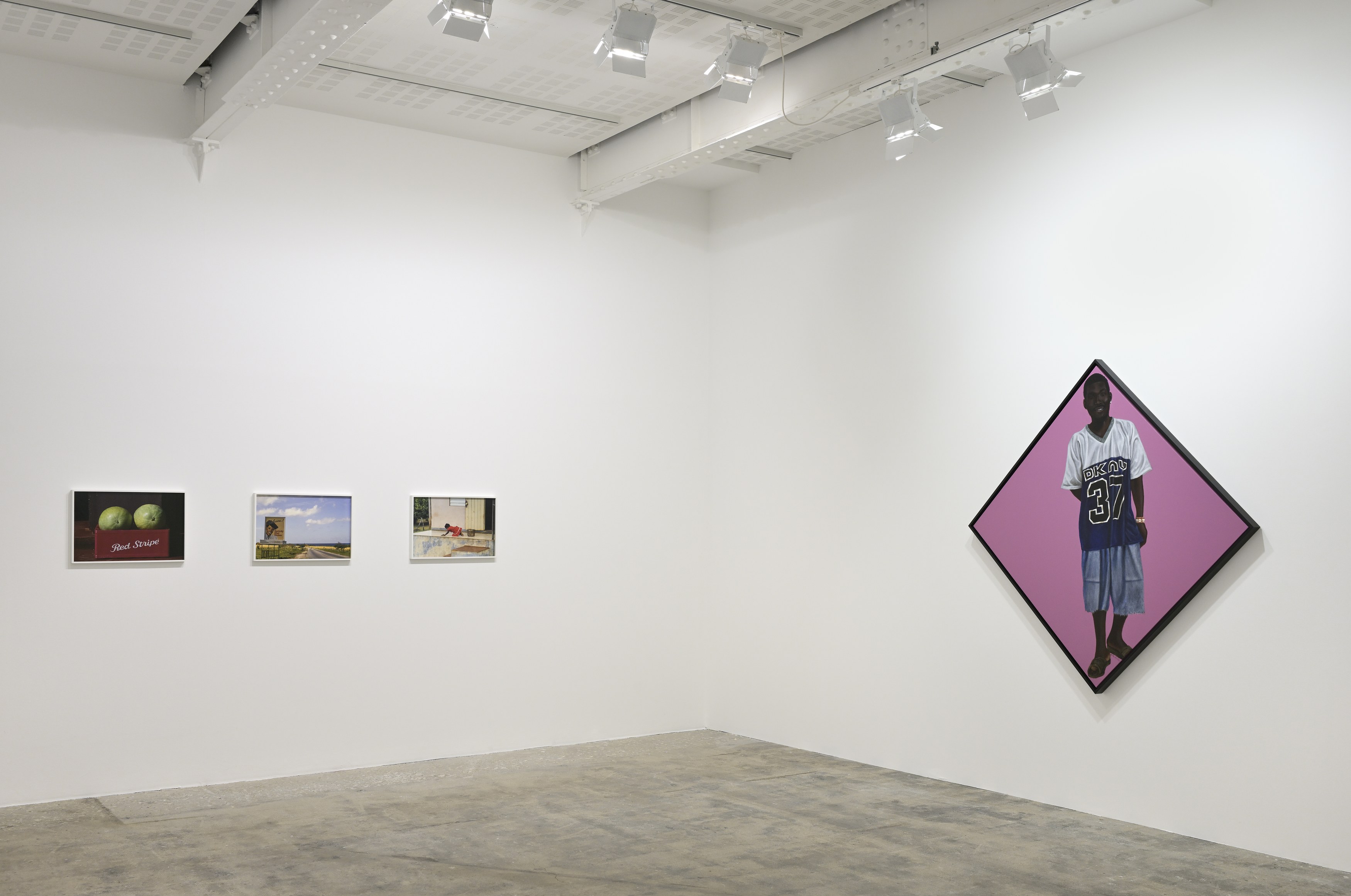 Barkley L. Hendricks, All is Portraiture at Marian Goodman Gallery, photo 5