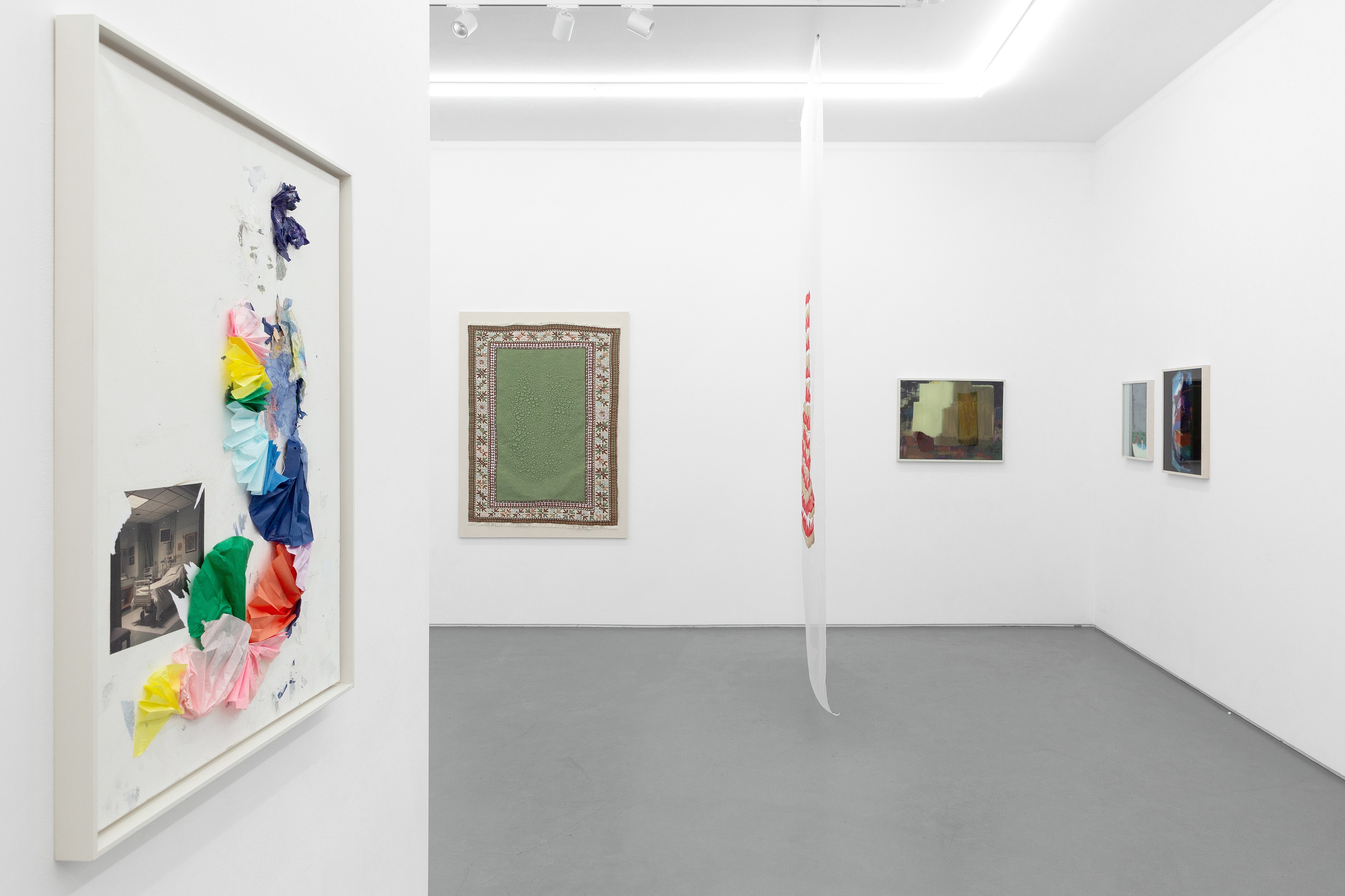 Kerstin Brätsch, Daniel Karrer, Philipp Schwalb, To Make Appear at Mountains, photo 4