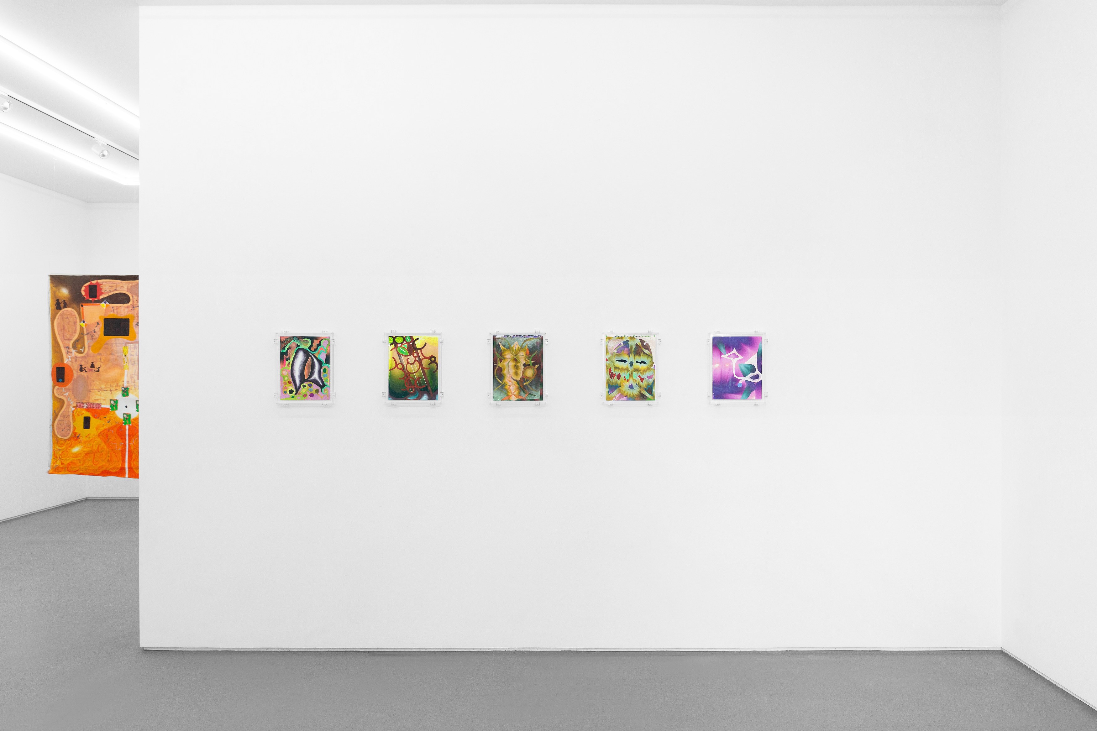 Kerstin Brätsch, Daniel Karrer, Philipp Schwalb, To Make Appear at Mountains, photo 7