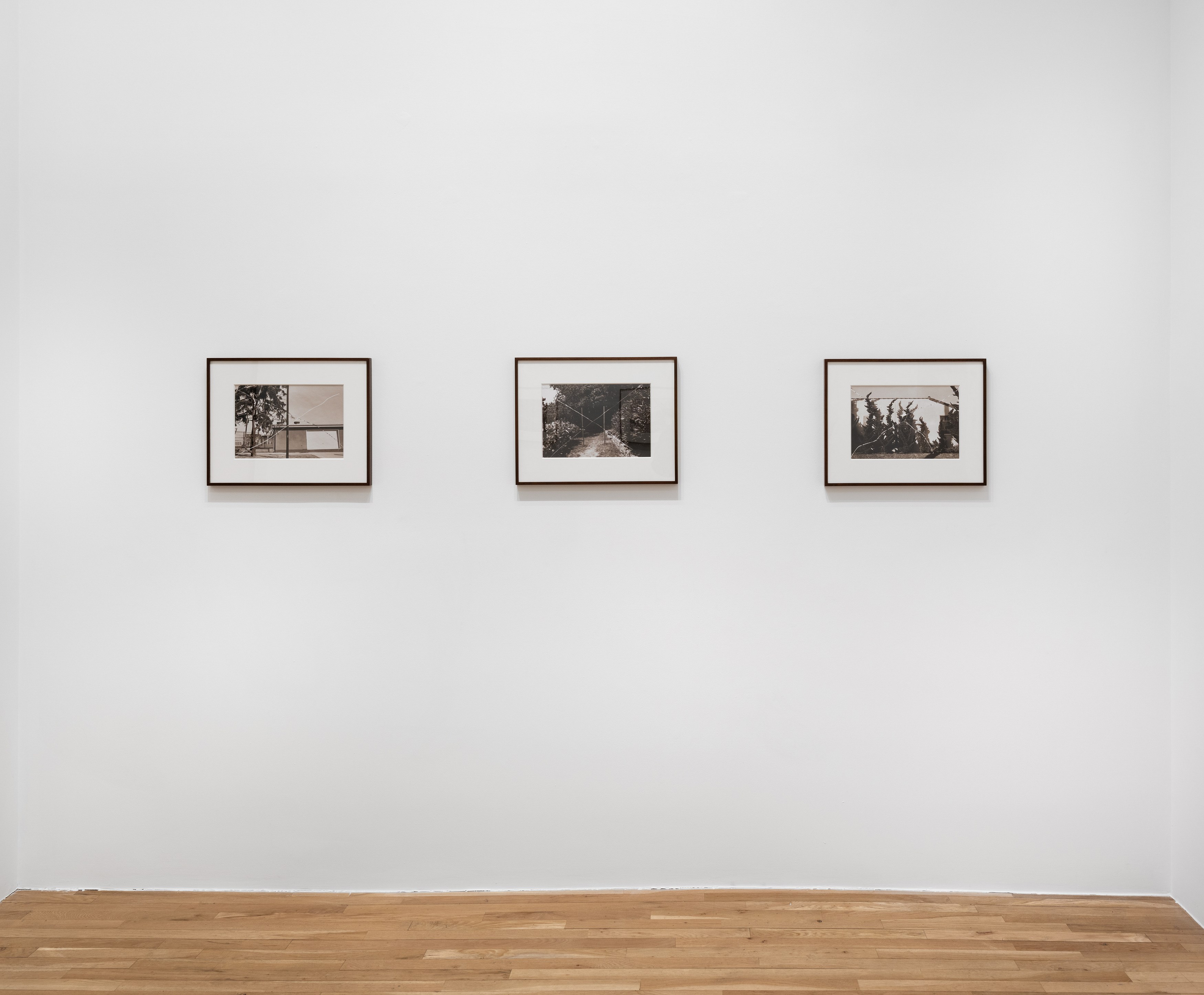Thomas Barrow, From the Series Cancellations at Derek Eller Gallery, photo 3