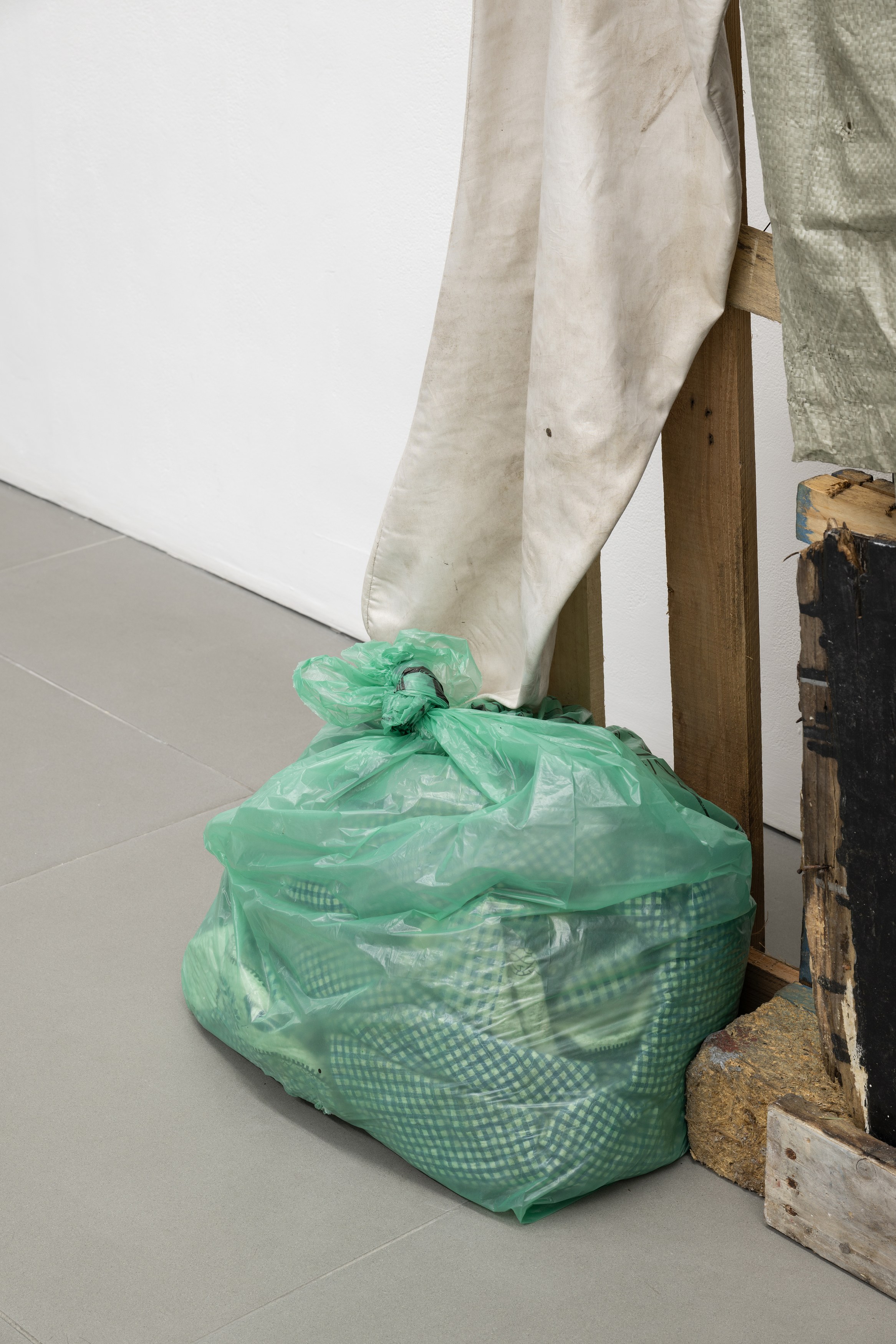 LA Timpa, Come Back at Cell Project Space, photo 6