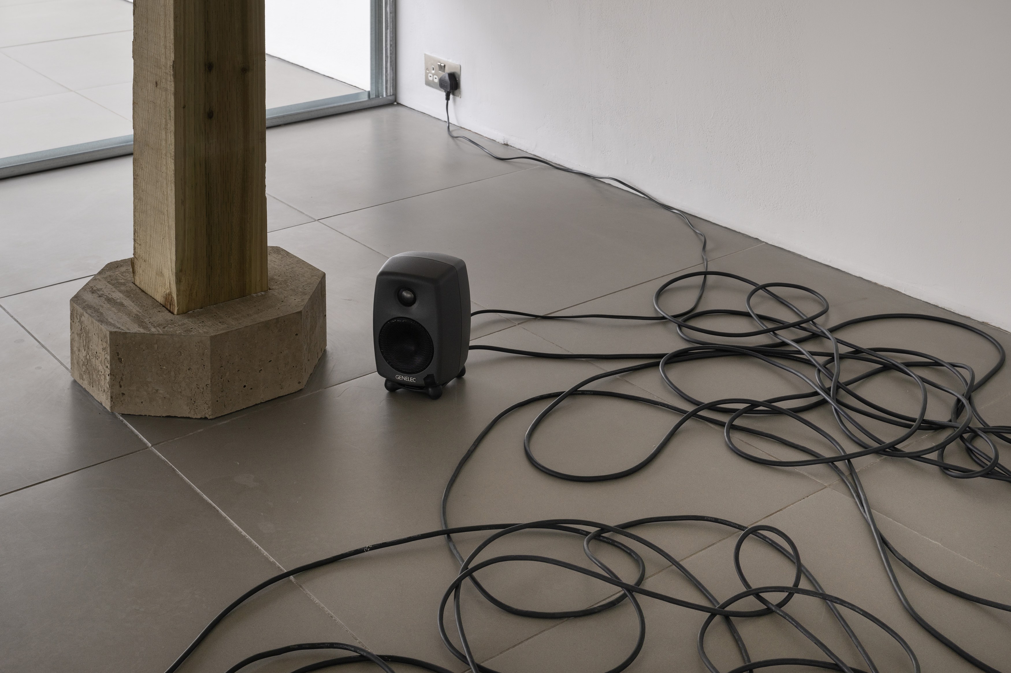 LA Timpa, Come Back at Cell Project Space, photo 16