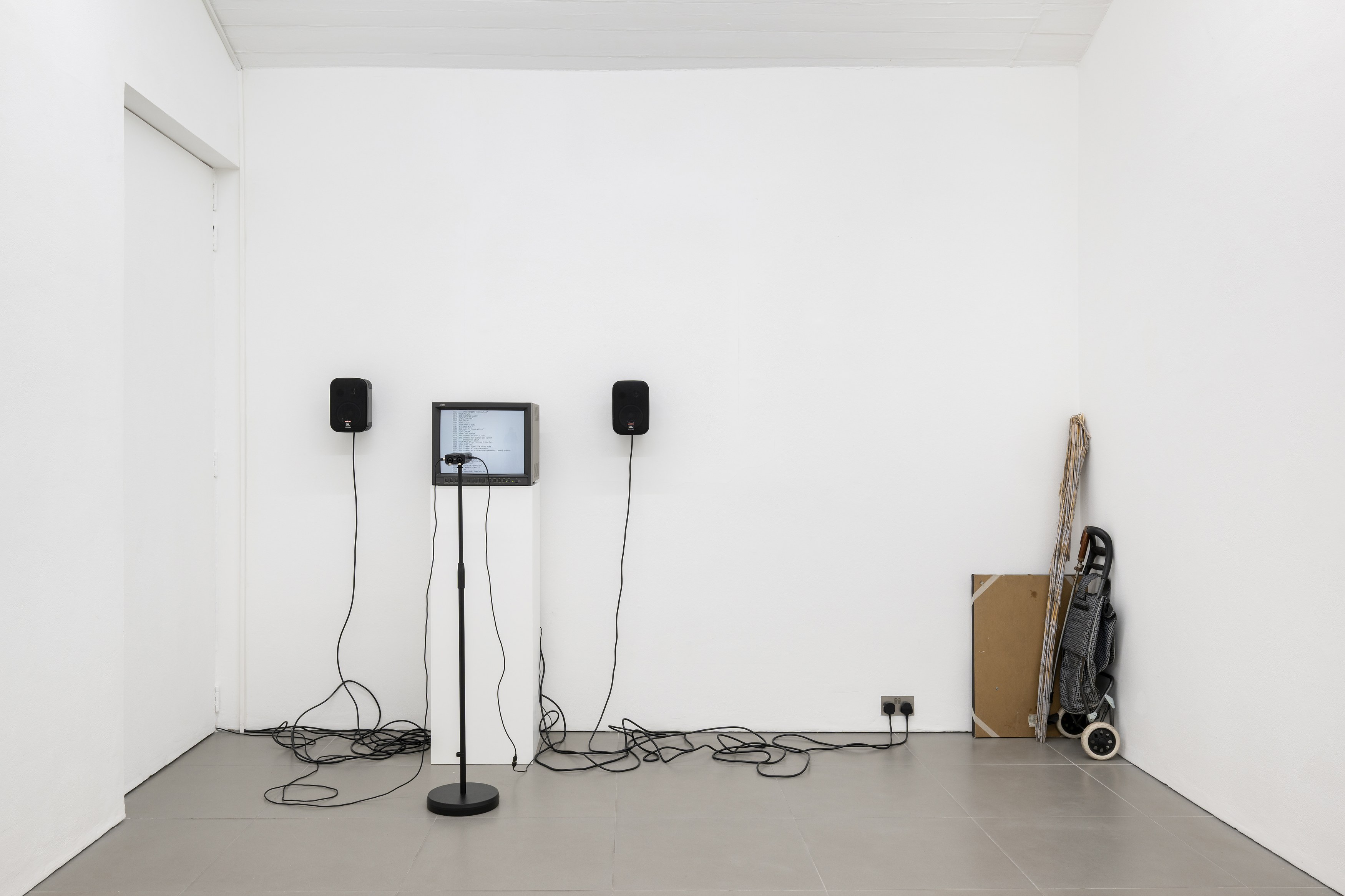 LA Timpa, Come Back at Cell Project Space, photo 19