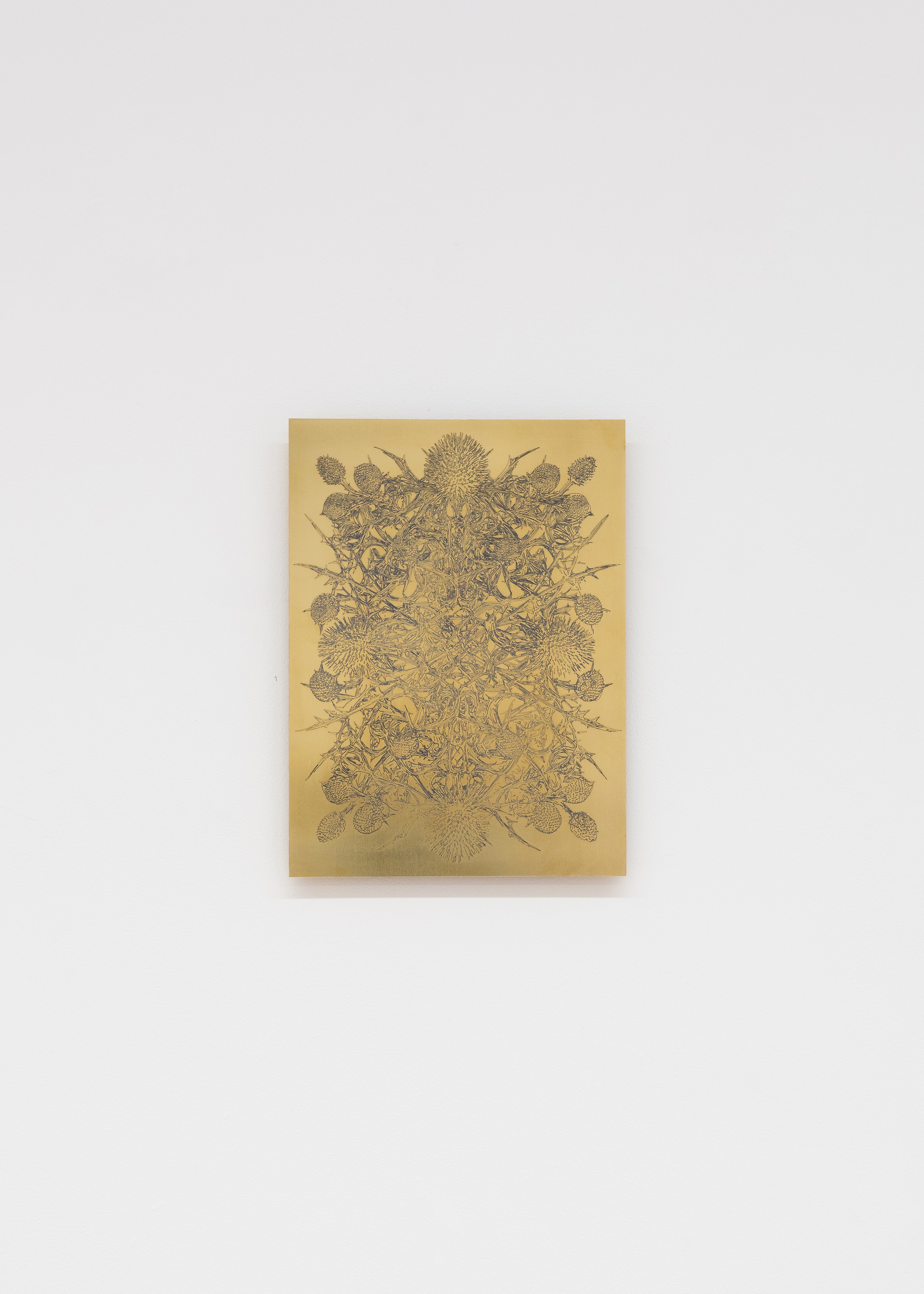 Nicolas Lambouris, Red Soil, Upon Which Tender Plants are Grown at piloto pardo, photo 7