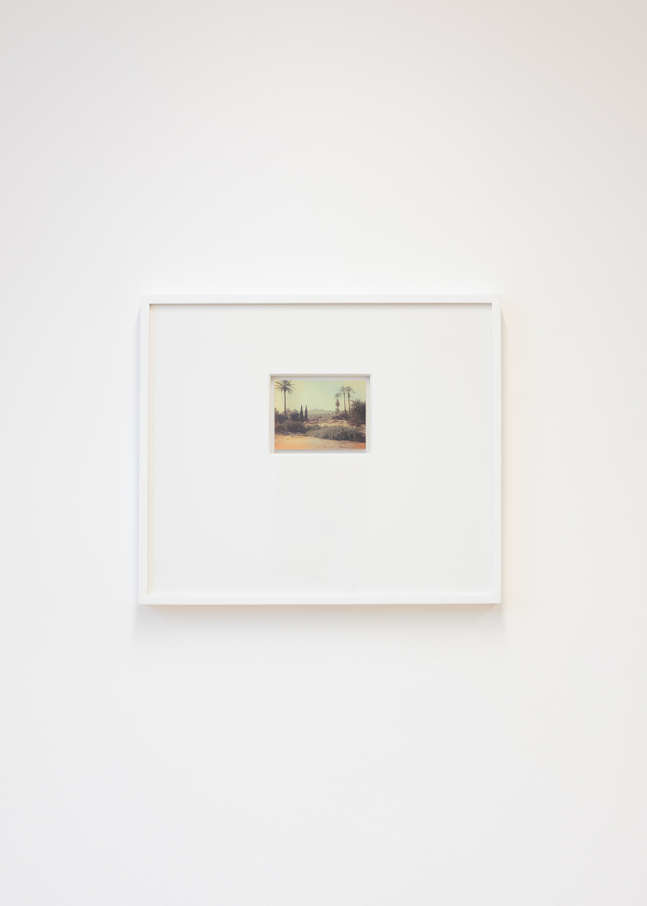 Nicolas Lambouris, Red Soil, Upon Which Tender Plants are Grown at piloto pardo, photo 6