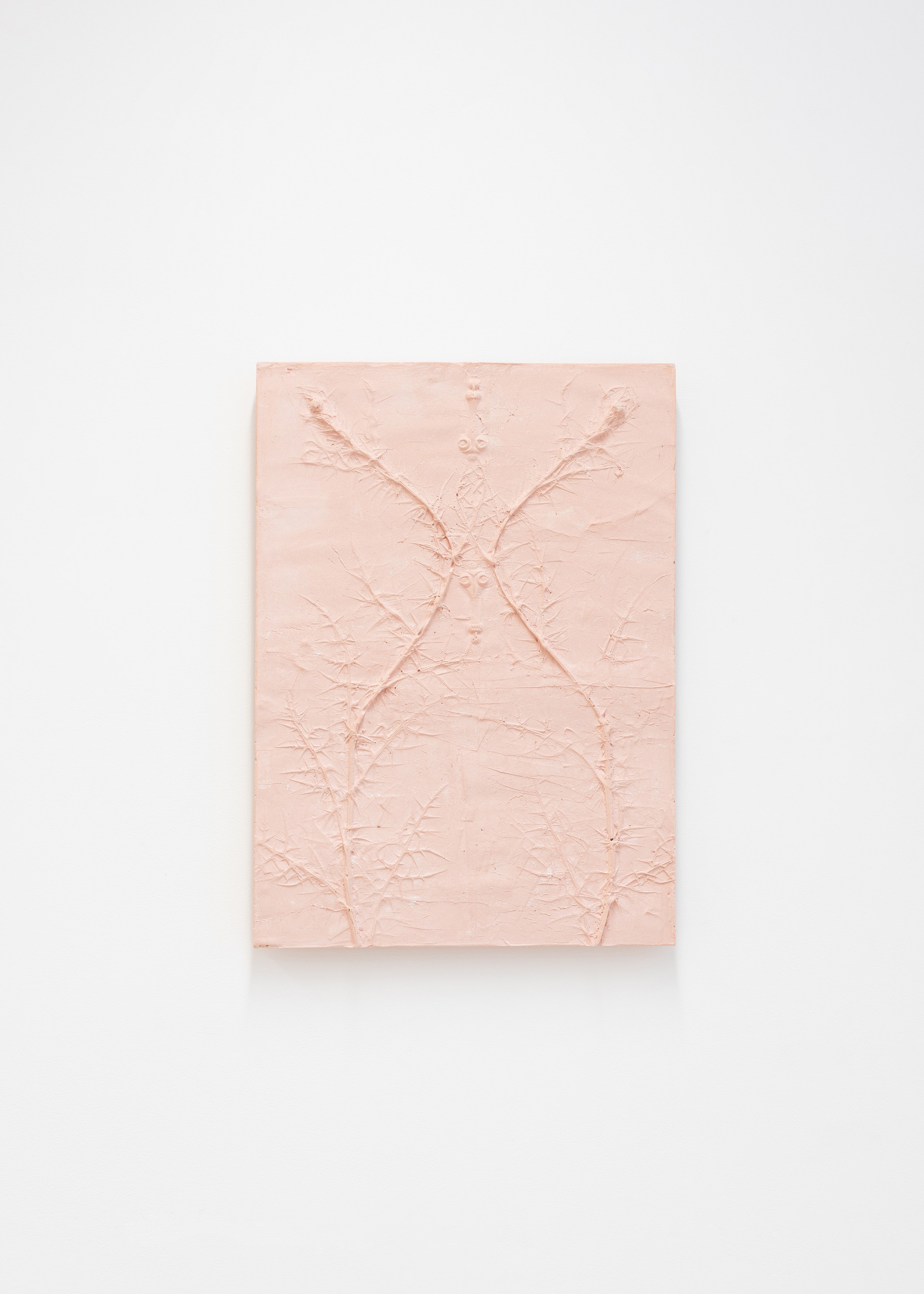 Nicolas Lambouris, Red Soil, Upon Which Tender Plants are Grown at piloto pardo, photo 8