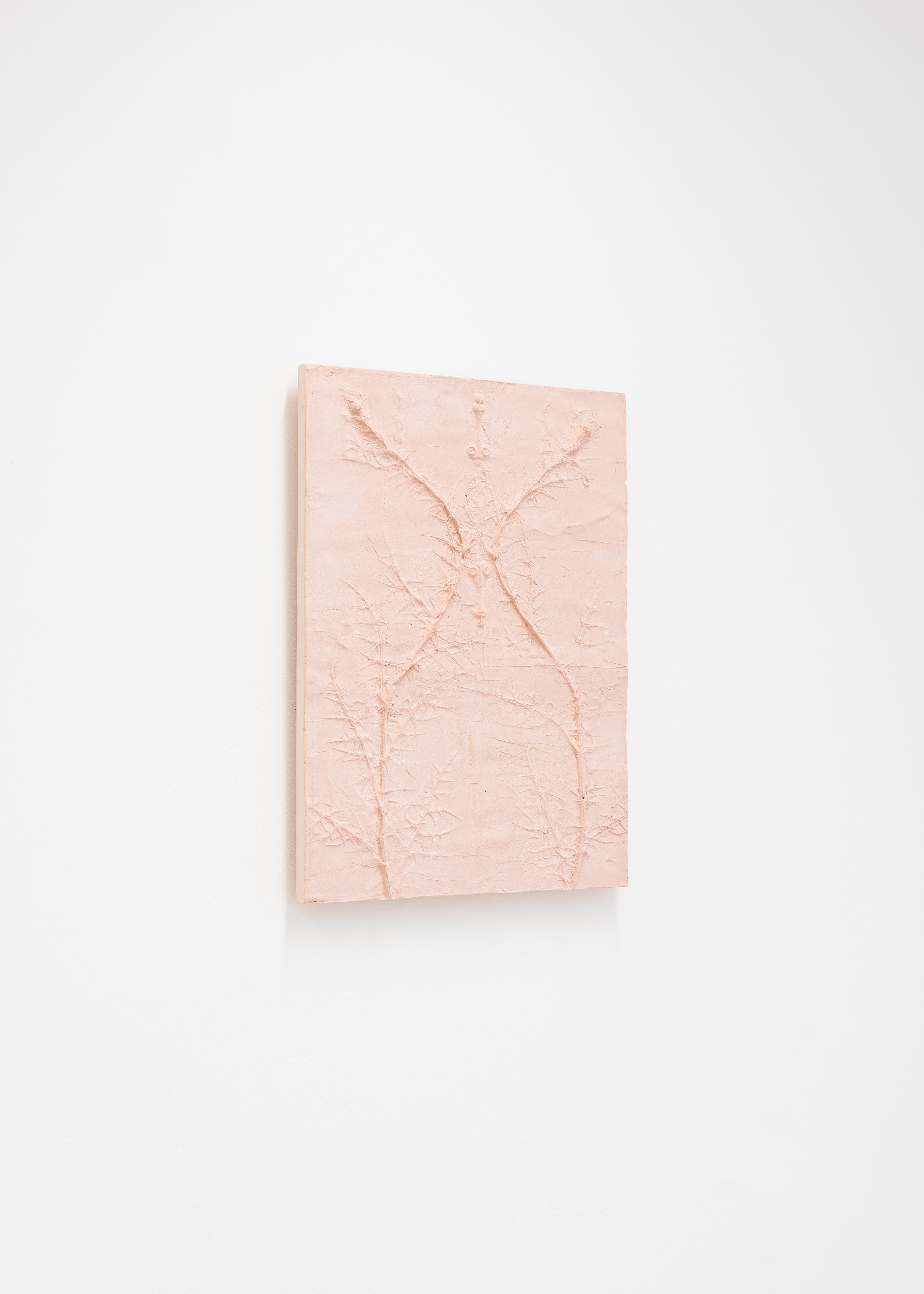 Nicolas Lambouris, Red Soil, Upon Which Tender Plants are Grown at piloto pardo, photo 9
