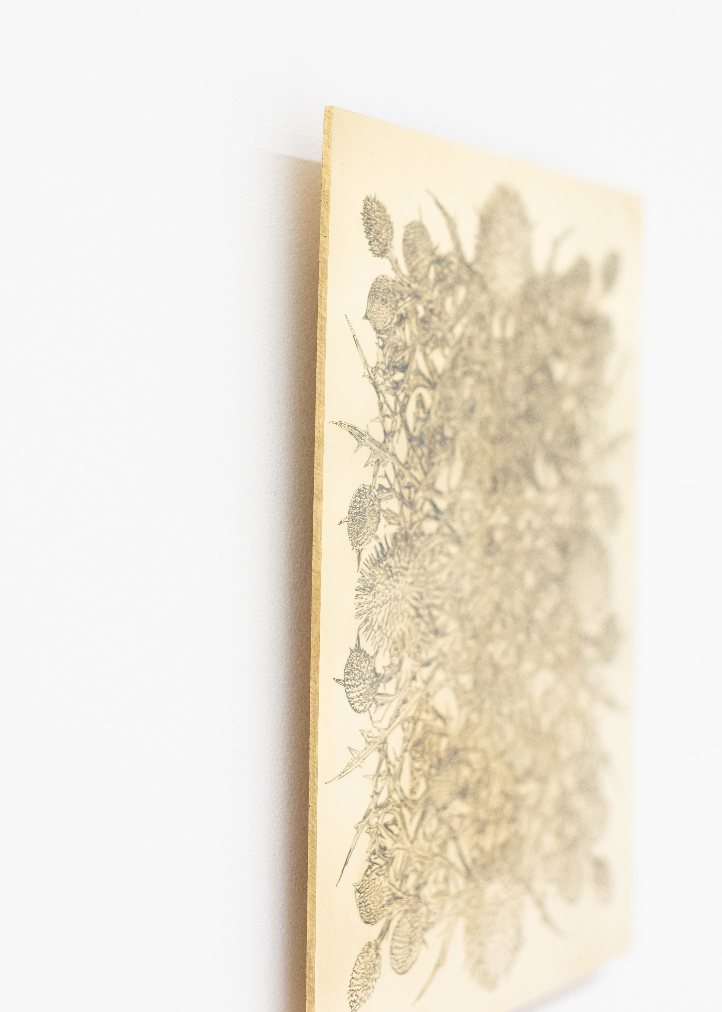 Nicolas Lambouris, Red Soil, Upon Which Tender Plants are Grown at piloto pardo, photo 13