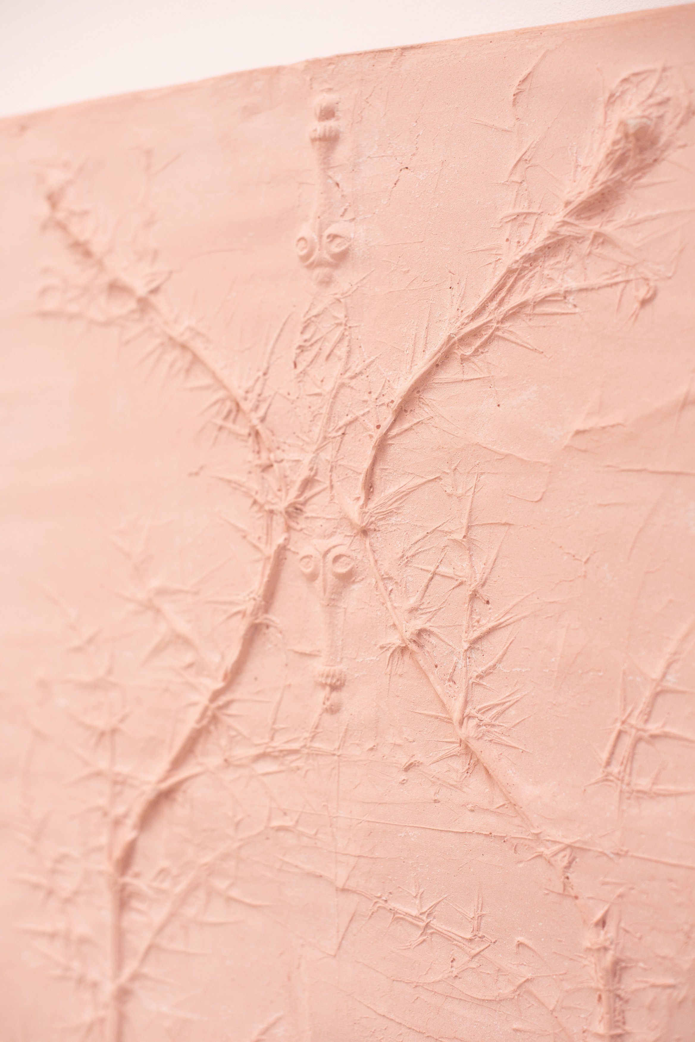 Nicolas Lambouris, Red Soil, Upon Which Tender Plants are Grown at piloto pardo, photo 14