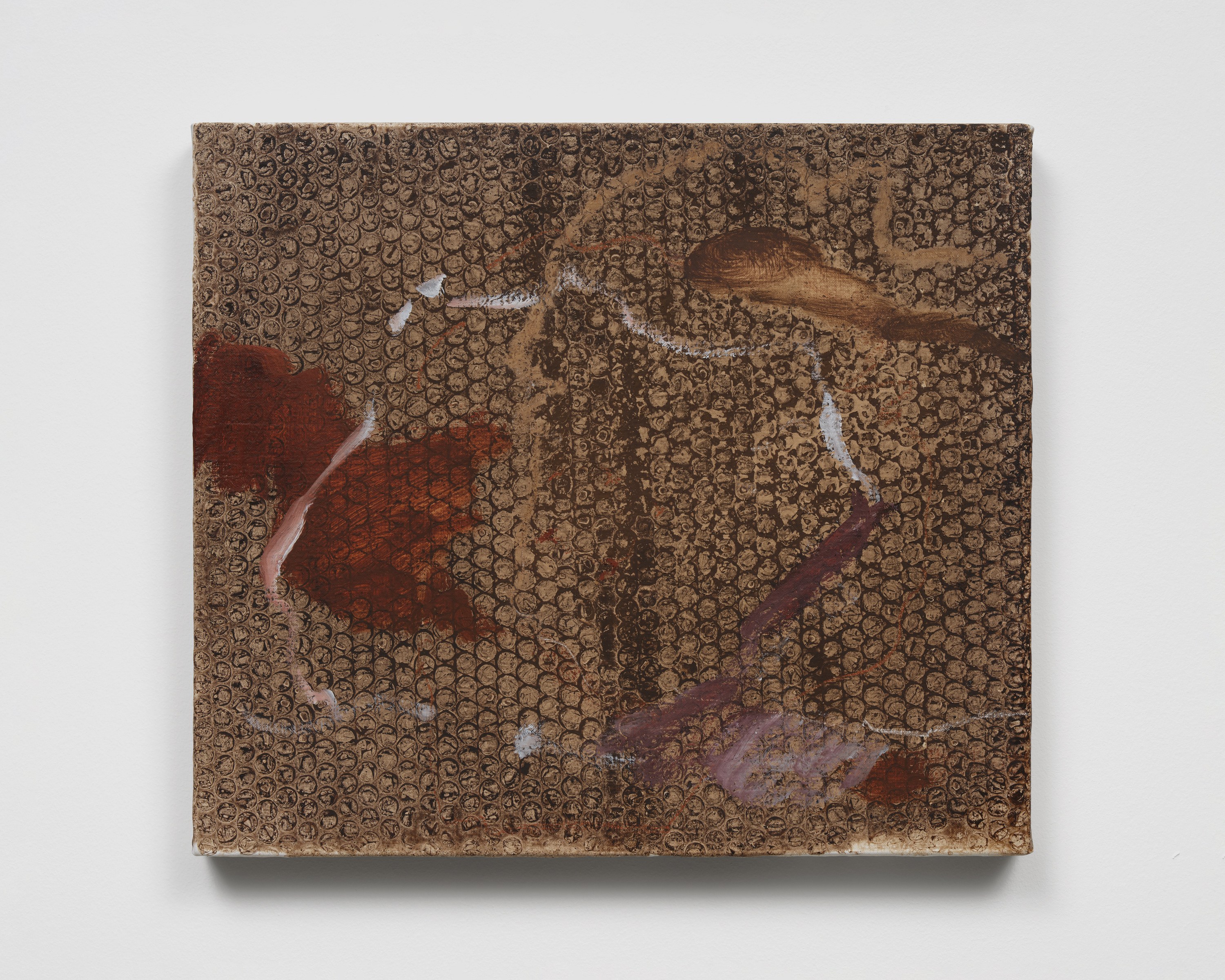 Emma McIntyre, Aragonite and conchiolin at Château Shatto, photo 10