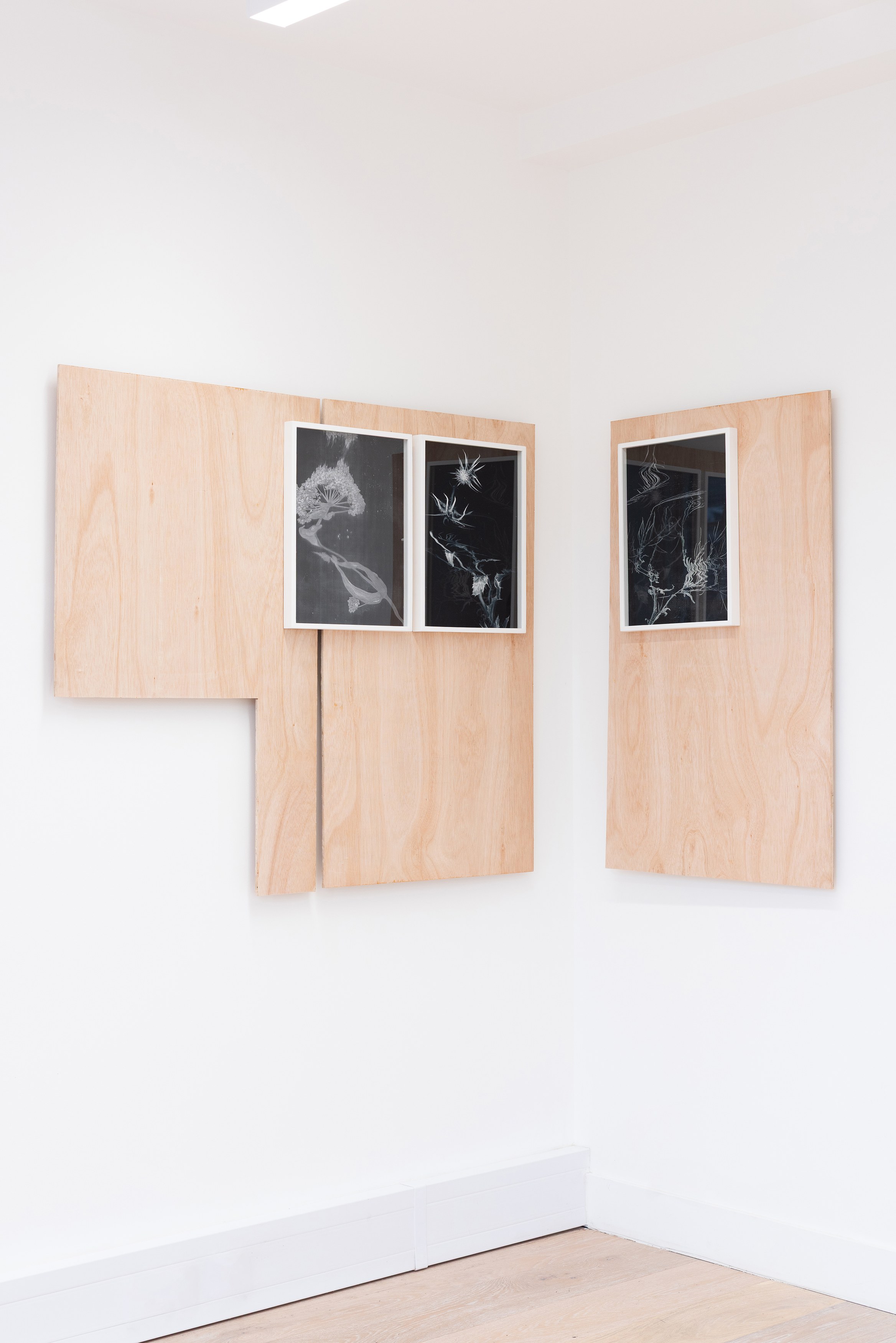 Nicolas Lambouris, Red Soil, Upon Which Tender Plants are Grown at piloto pardo, photo 16
