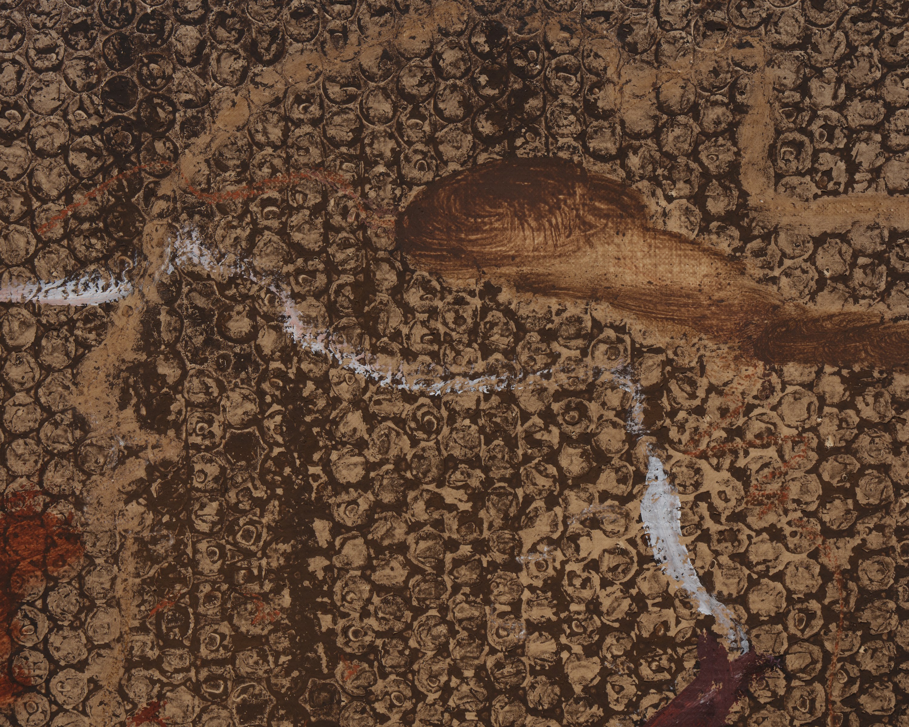 Emma McIntyre, Aragonite and conchiolin at Château Shatto, photo 11