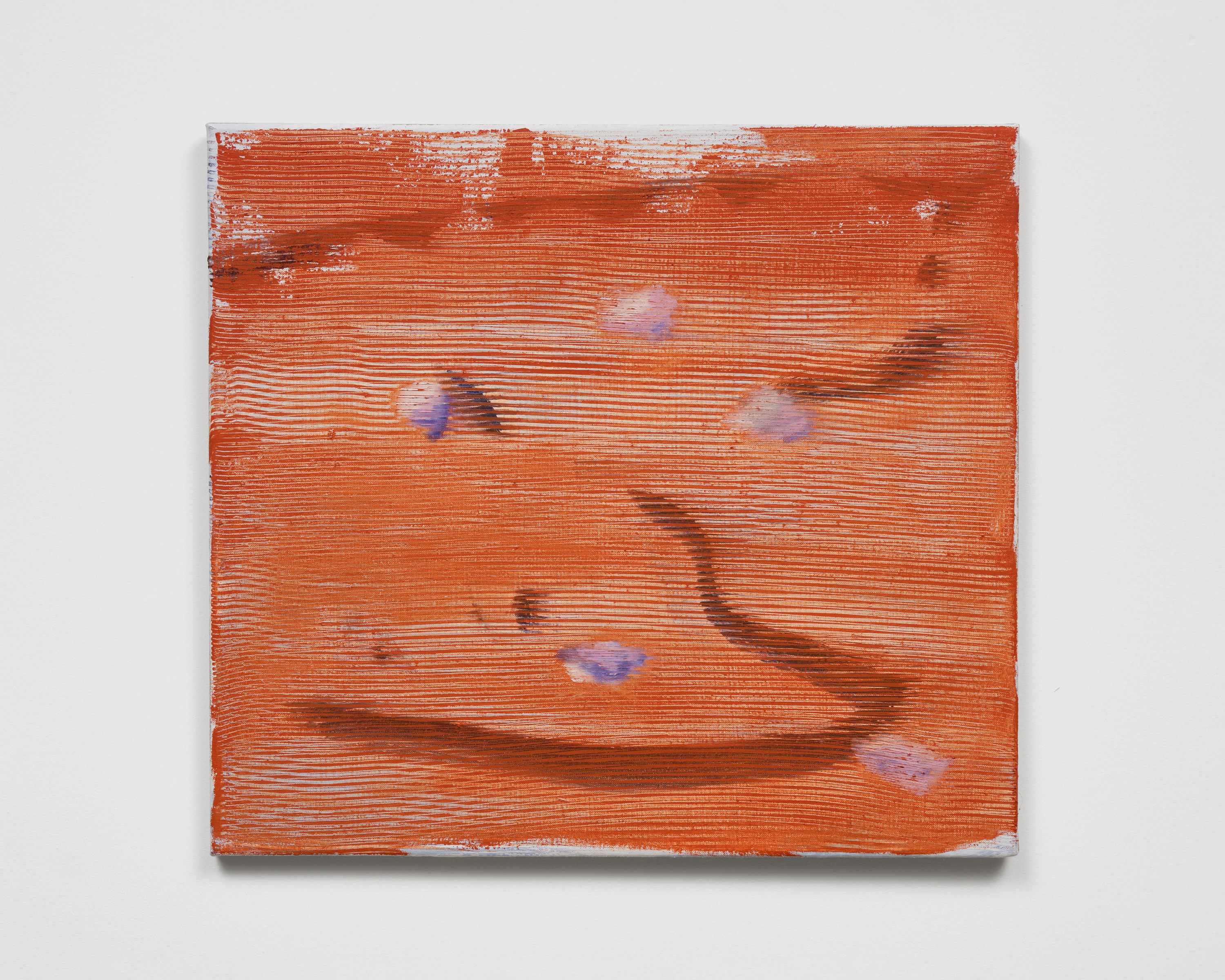 Emma McIntyre, Aragonite and conchiolin at Château Shatto, photo 16