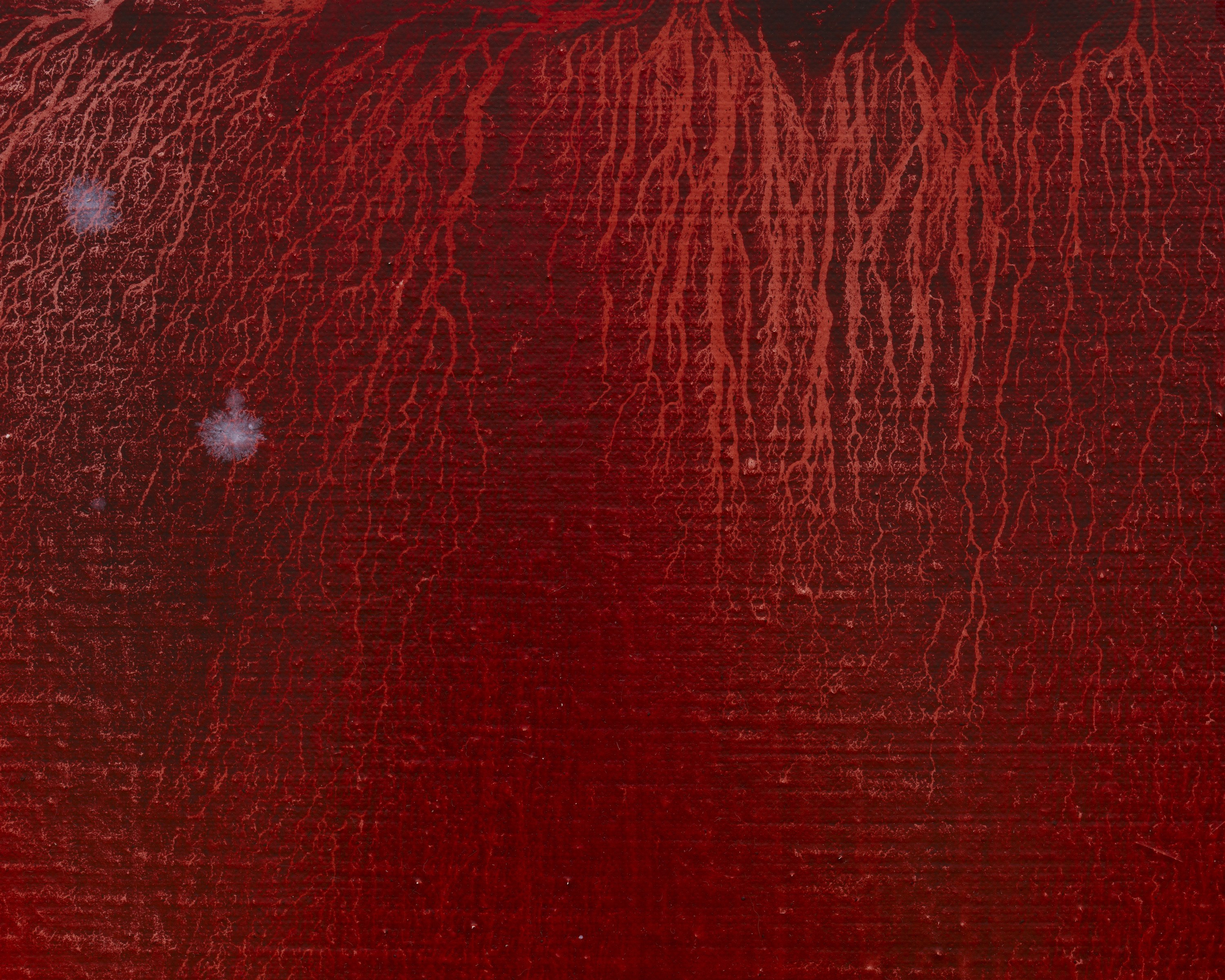 Emma McIntyre, Aragonite and conchiolin at Château Shatto, photo 15
